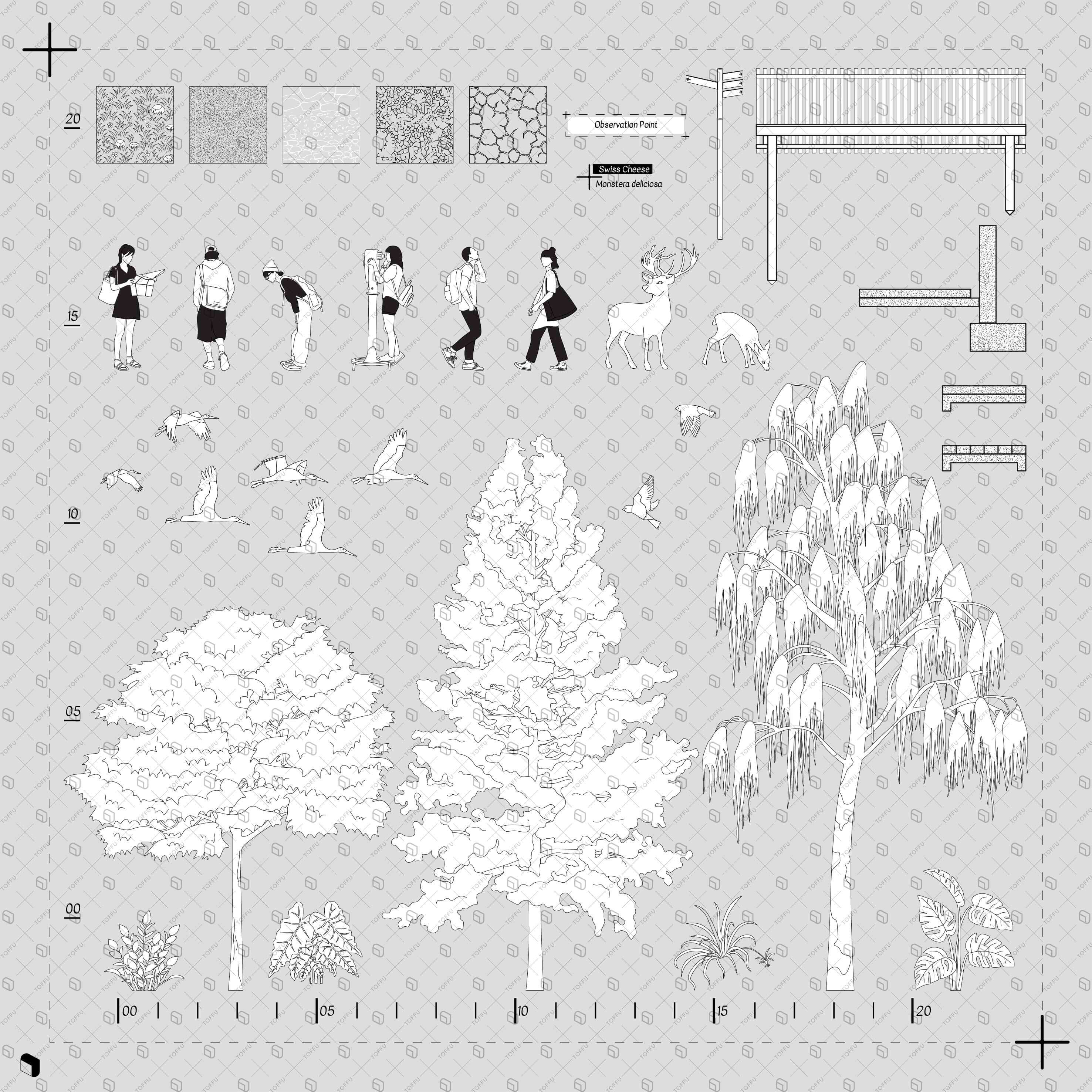 Flat Vector National Park Detailed Section Digital Artwork drawings | Toffu Co