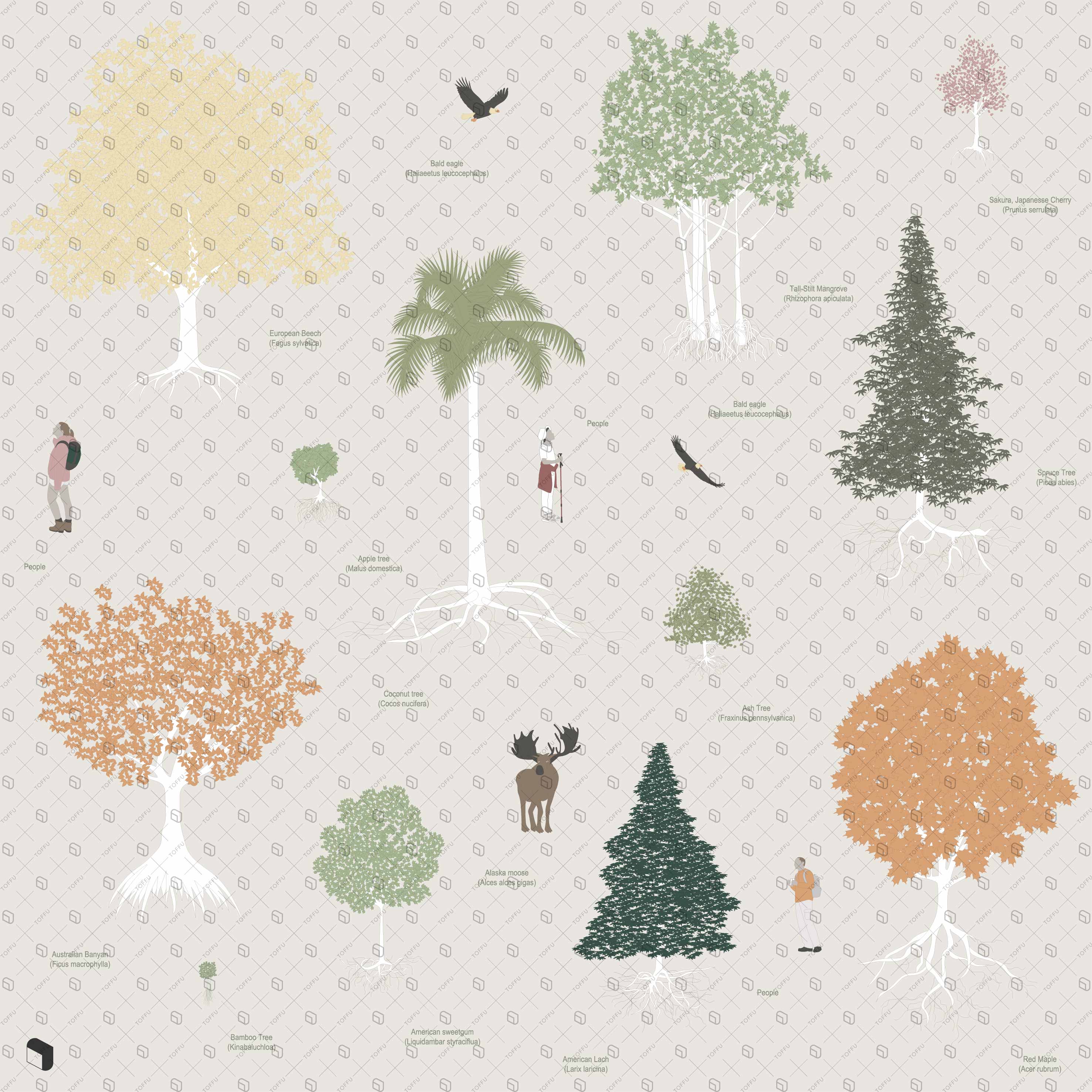 Flat Vector Trees with Roots Digital Artwork drawings | Toffu Co