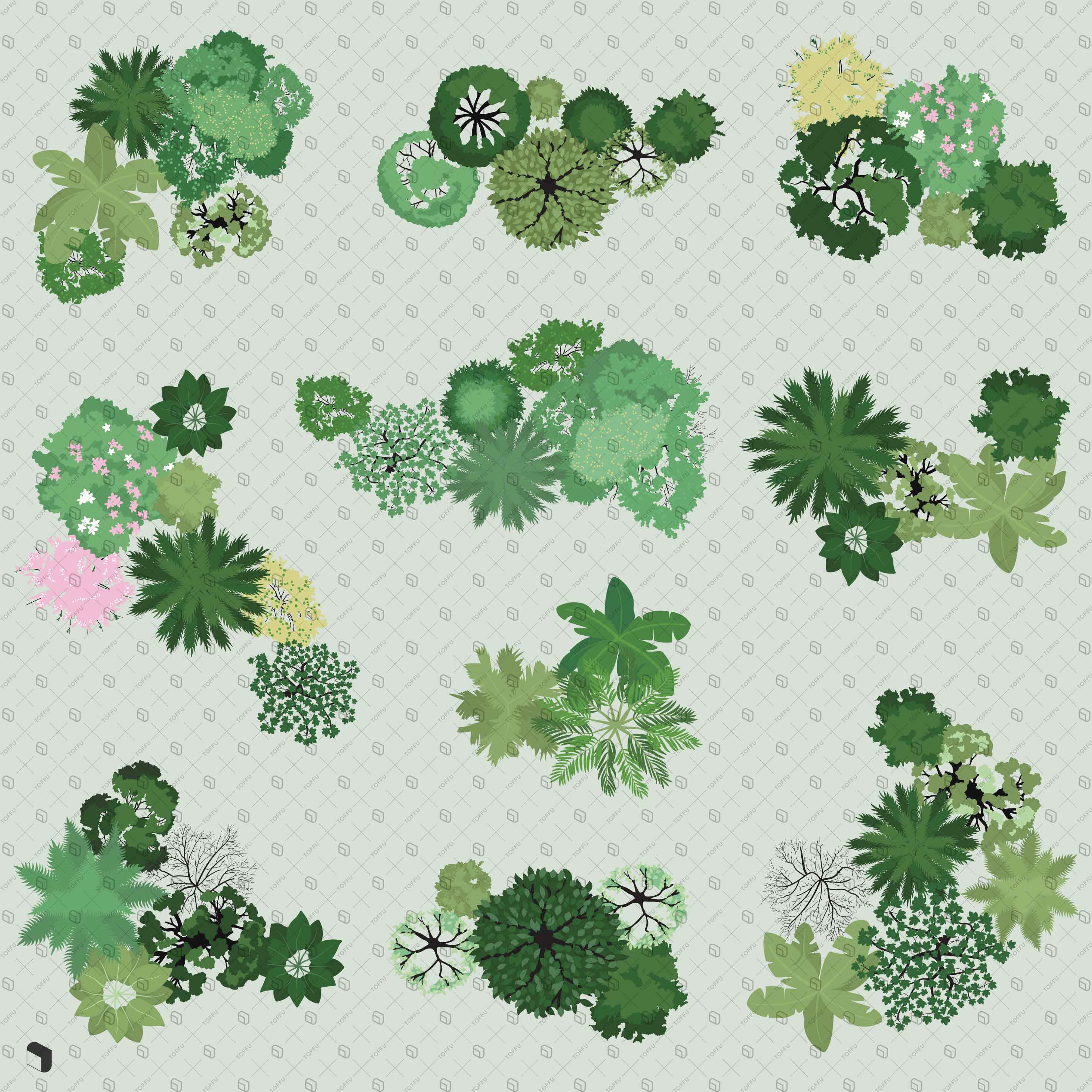 Flat Vector Tree Sets Top View Digital Artwork drawings | Toffu Co