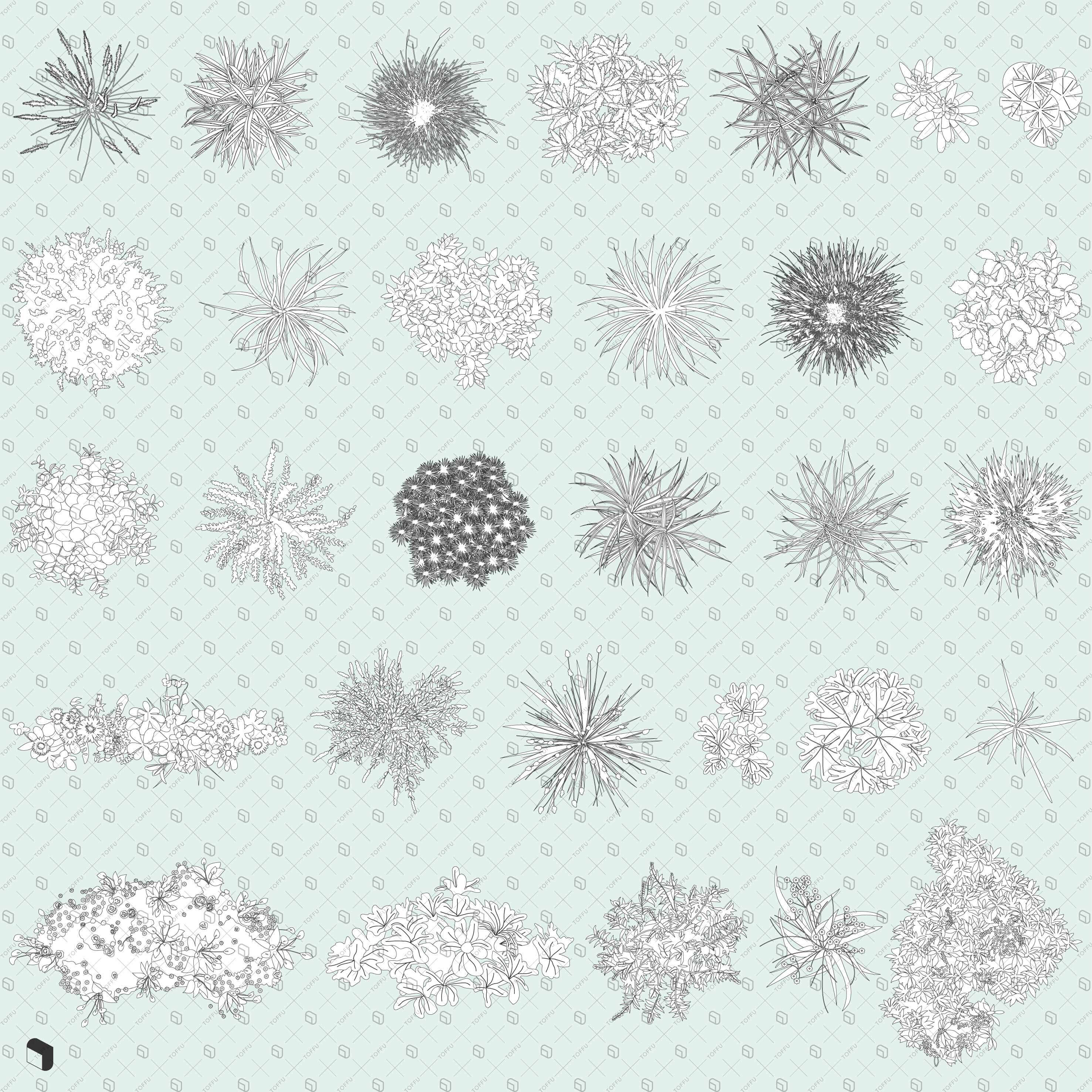 Flat Vector Wild Plants Top View Digital Artwork drawings | Toffu Co