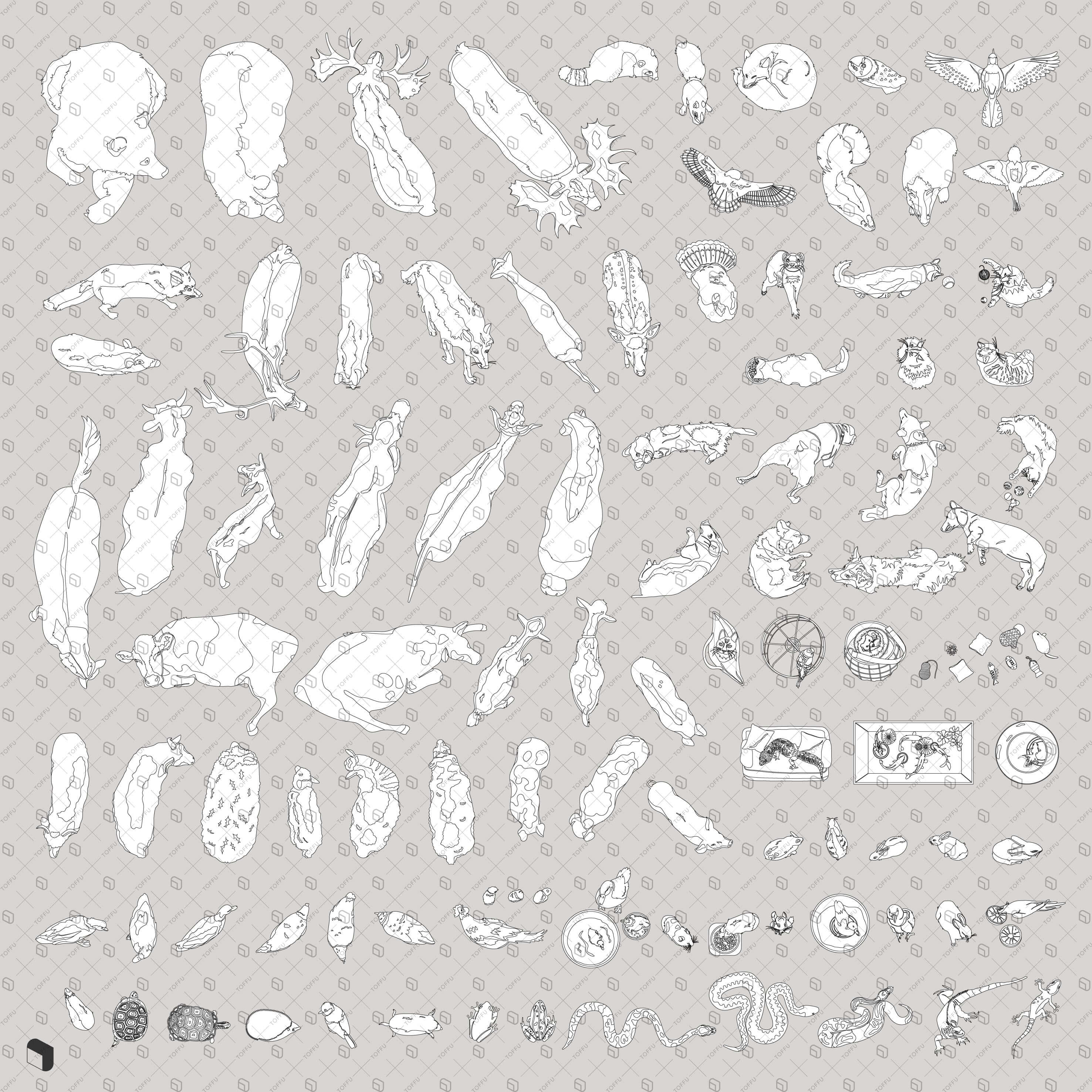 Flat Vector Animals Top View Bundle Digital Artwork drawings | Toffu Co