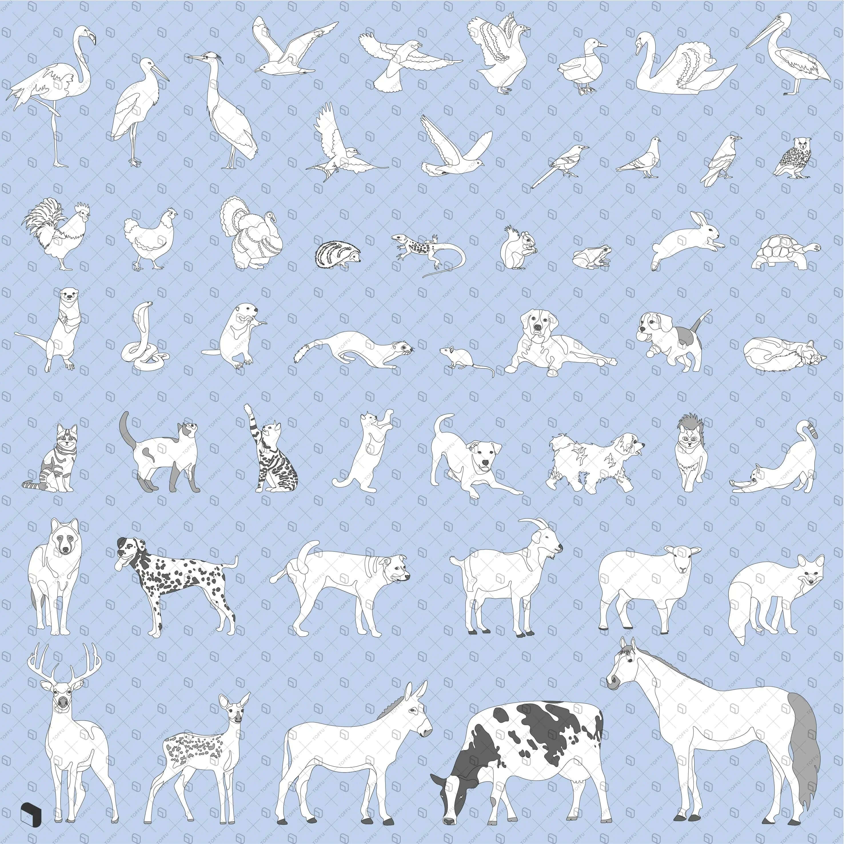 Flat Vector Common Animals Digital Artwork drawings | Toffu Co