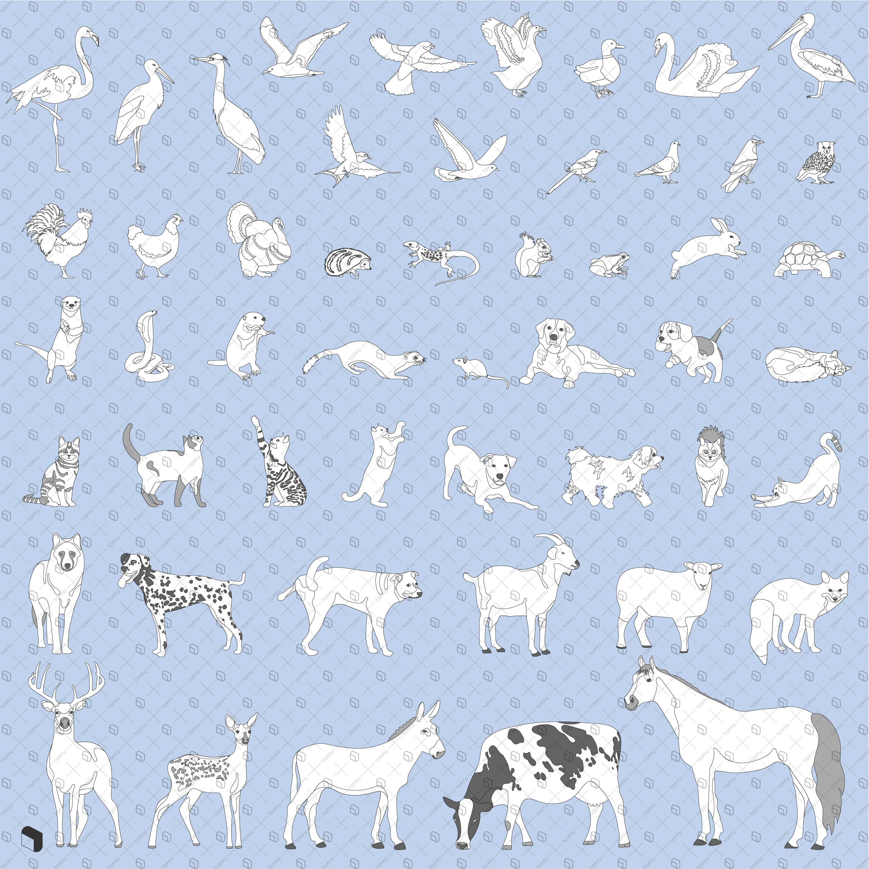 Flat Vector Common Animals PNG - Toffu Co