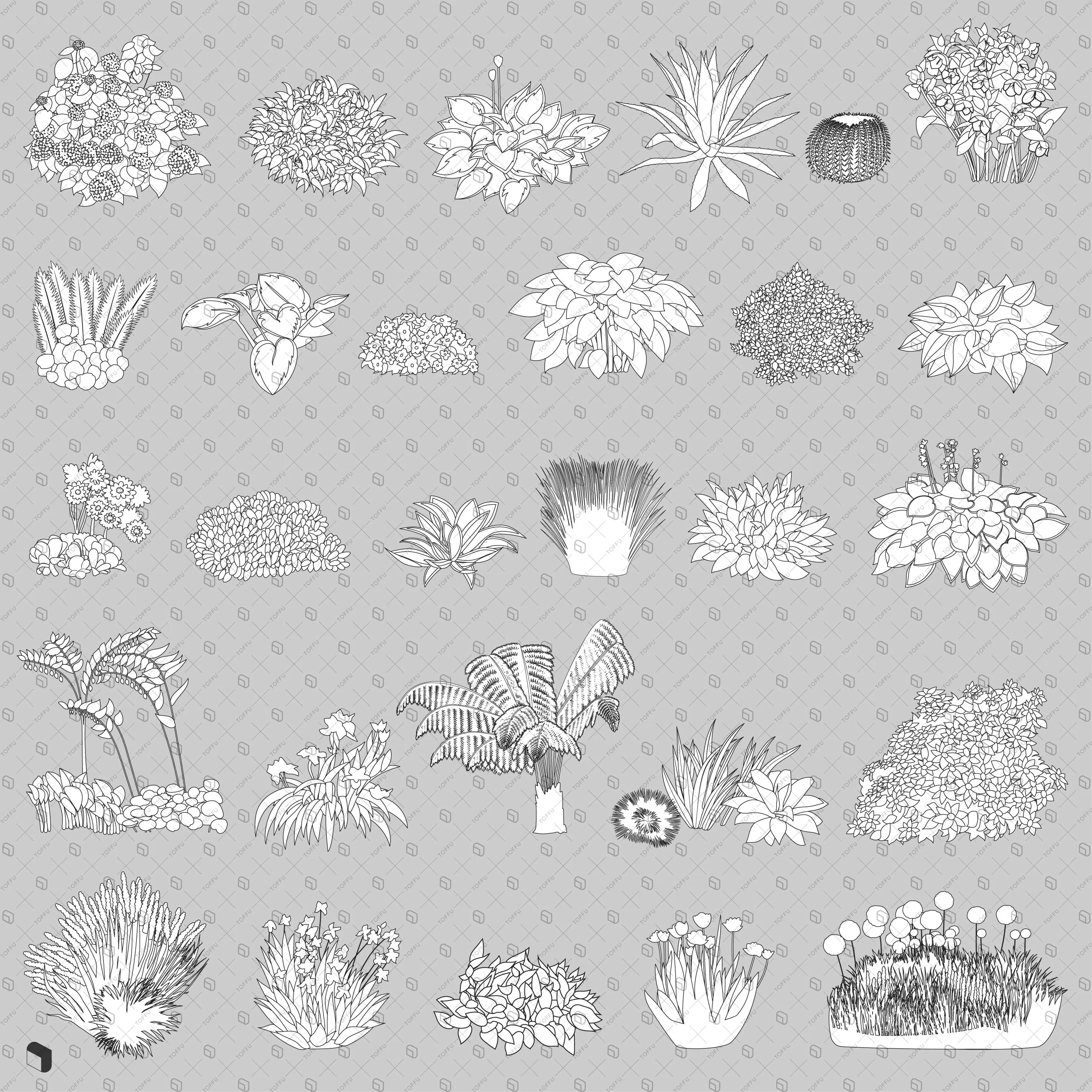 Flat Vector Foundation Plants Digital Artwork drawings | Toffu Co