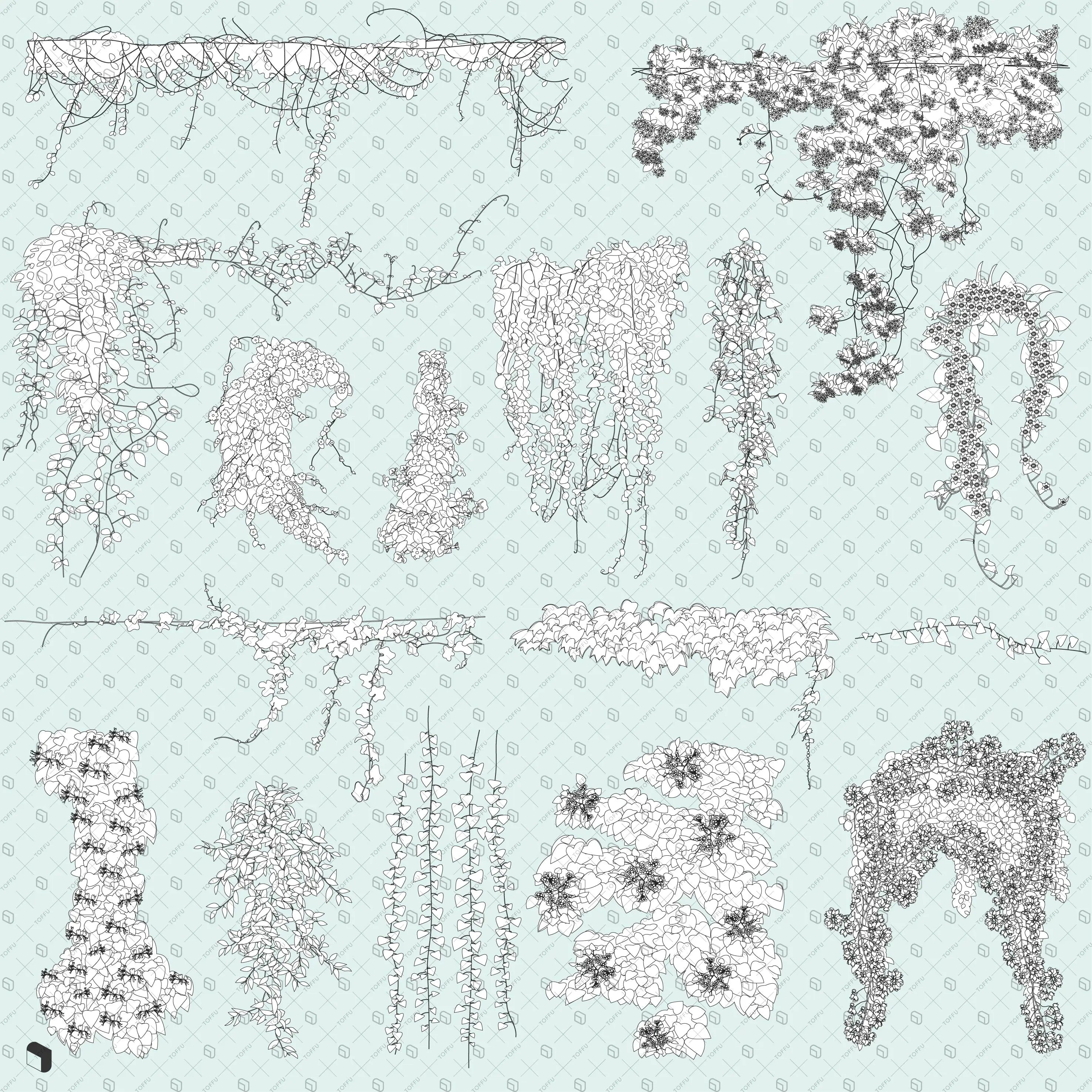 Flat Vector Ivy and Vine Digital Artwork drawings | Toffu Co