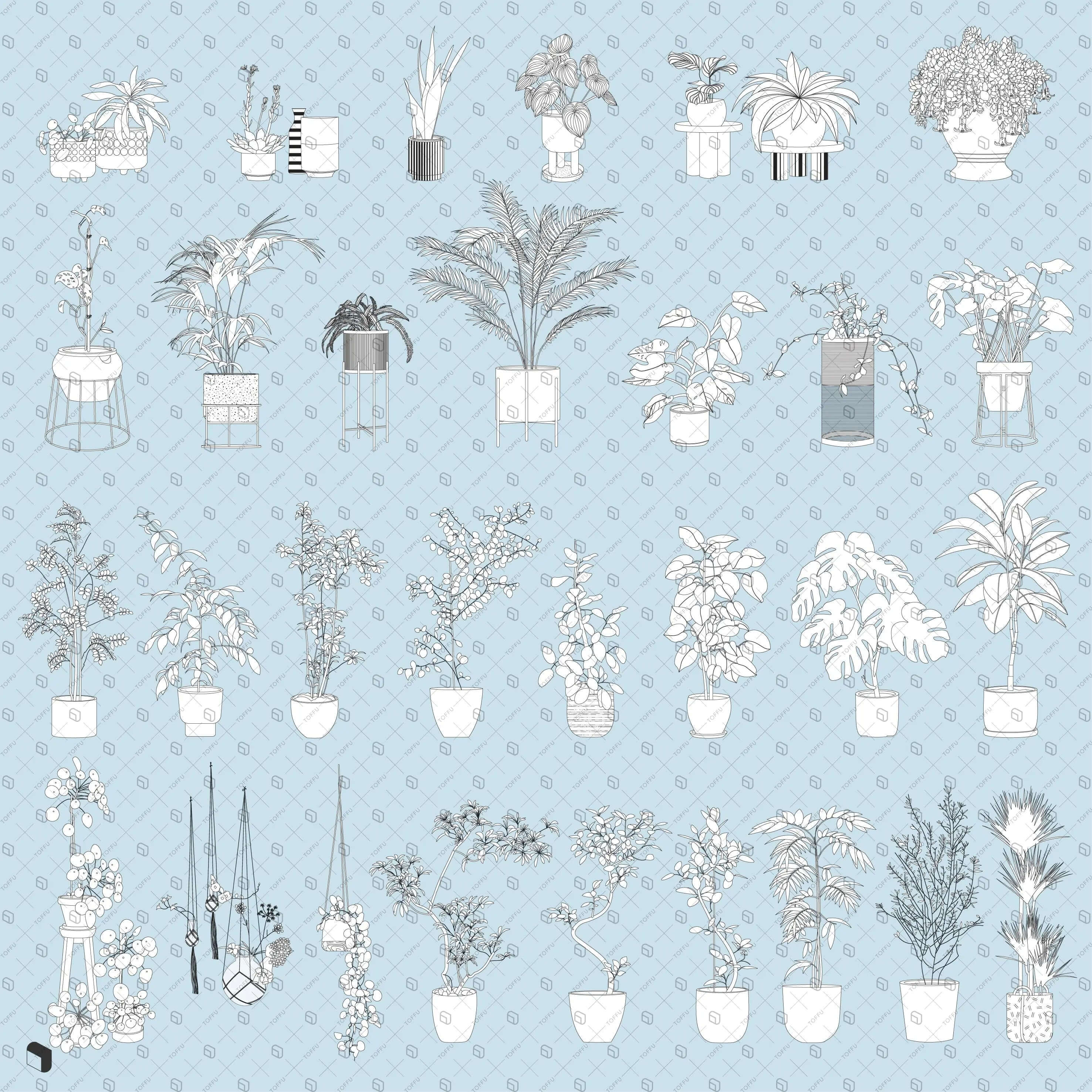 Flat Vector Potted Plants Digital Artwork drawings | Toffu Co