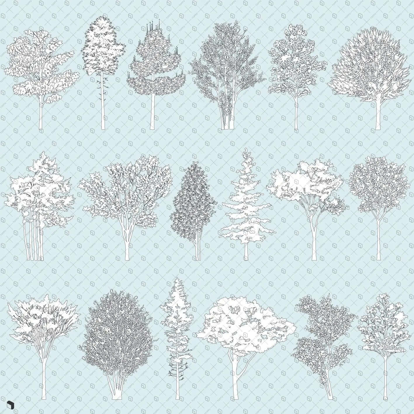 Flat Vector Detailed Trees Digital Artwork drawings | Toffu Co
