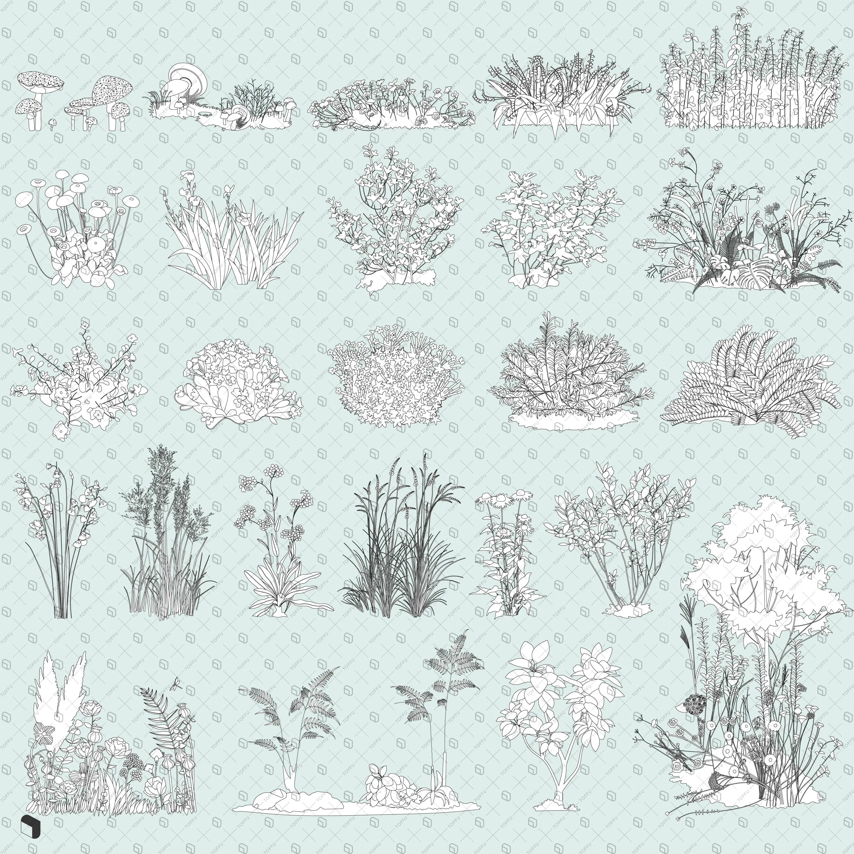 Flat Vector Wild Plants 2 Digital Artwork drawings | Toffu Co