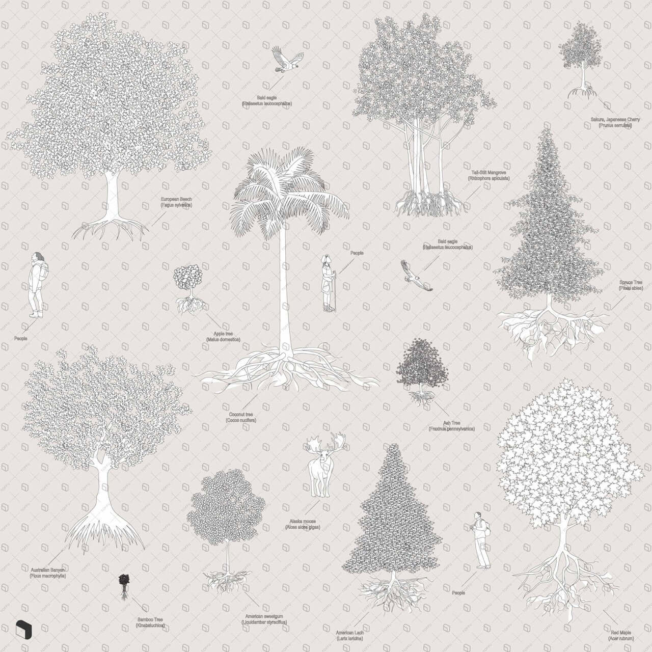 Flat Vector Trees with Roots Digital Artwork drawings | Toffu Co