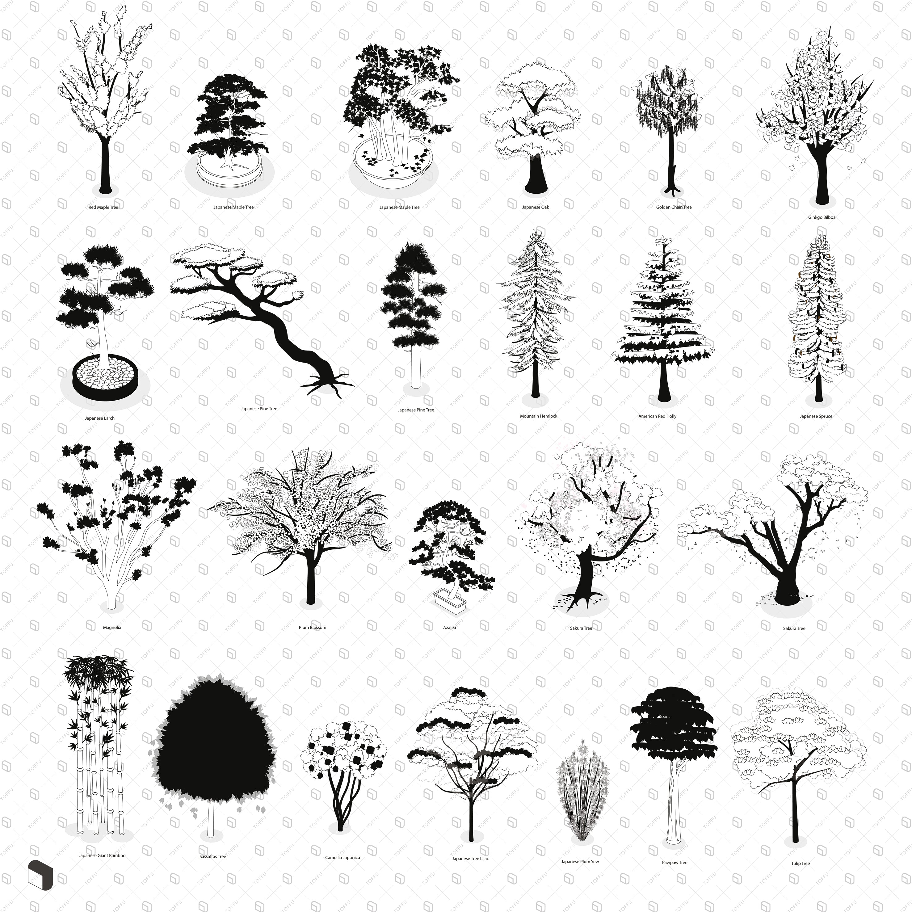 Axonometric Colorful & Black and White South East Trees with Names PNG - Toffu Co