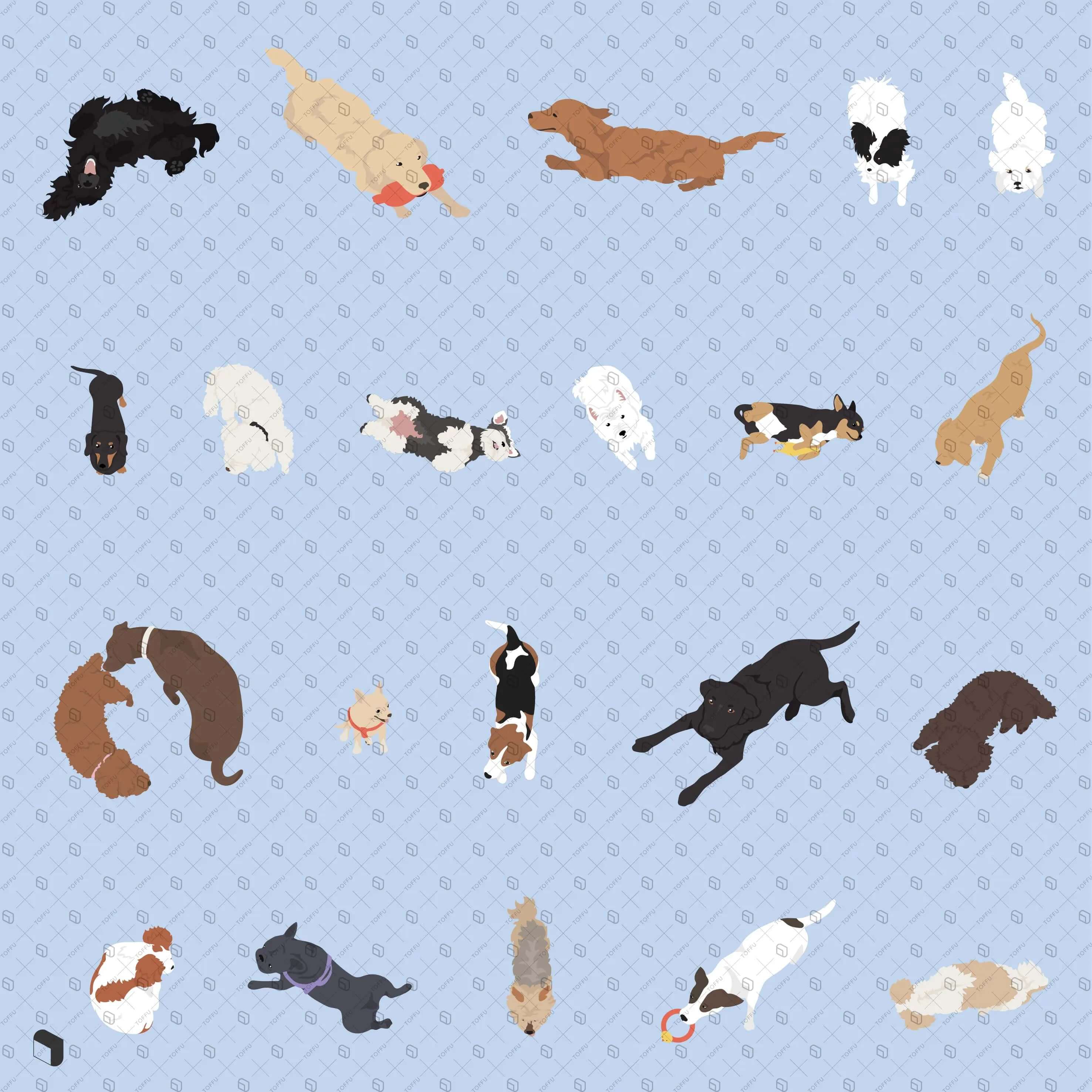 Flat Vector Dogs Top View Digital Artwork drawings | Toffu Co