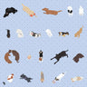 Flat Vector Dogs Top View Digital Artwork drawings | Toffu Co