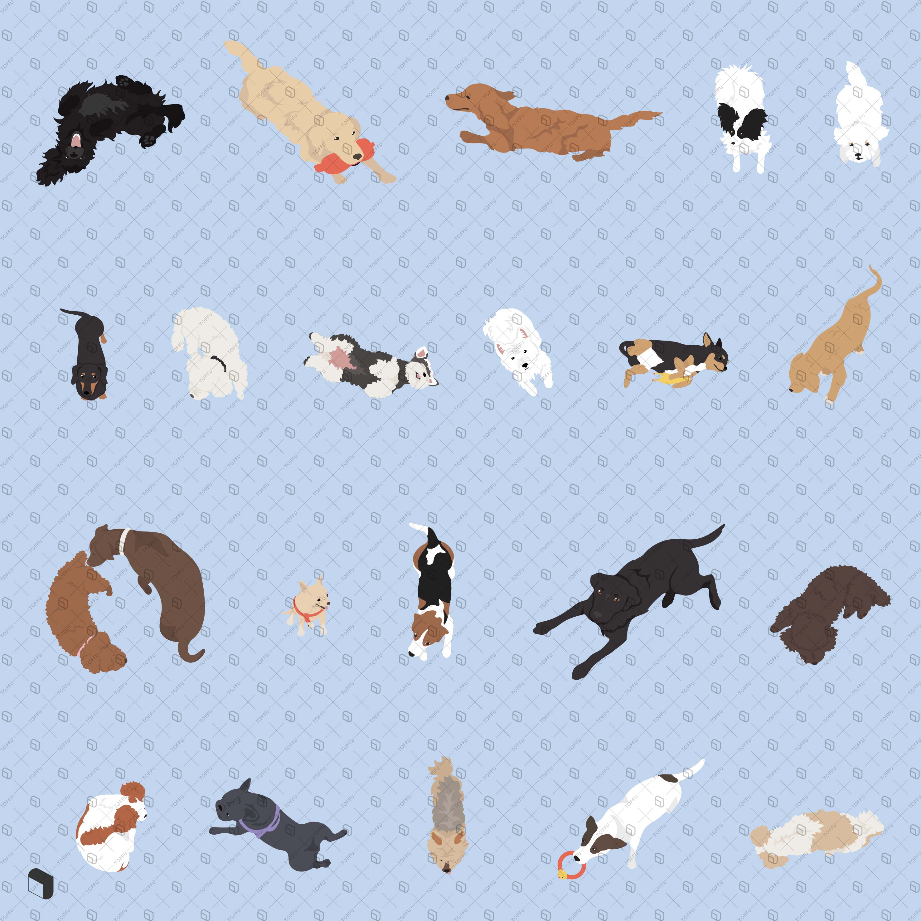 Flat Vector Dogs Top View PNG - Toffu Co