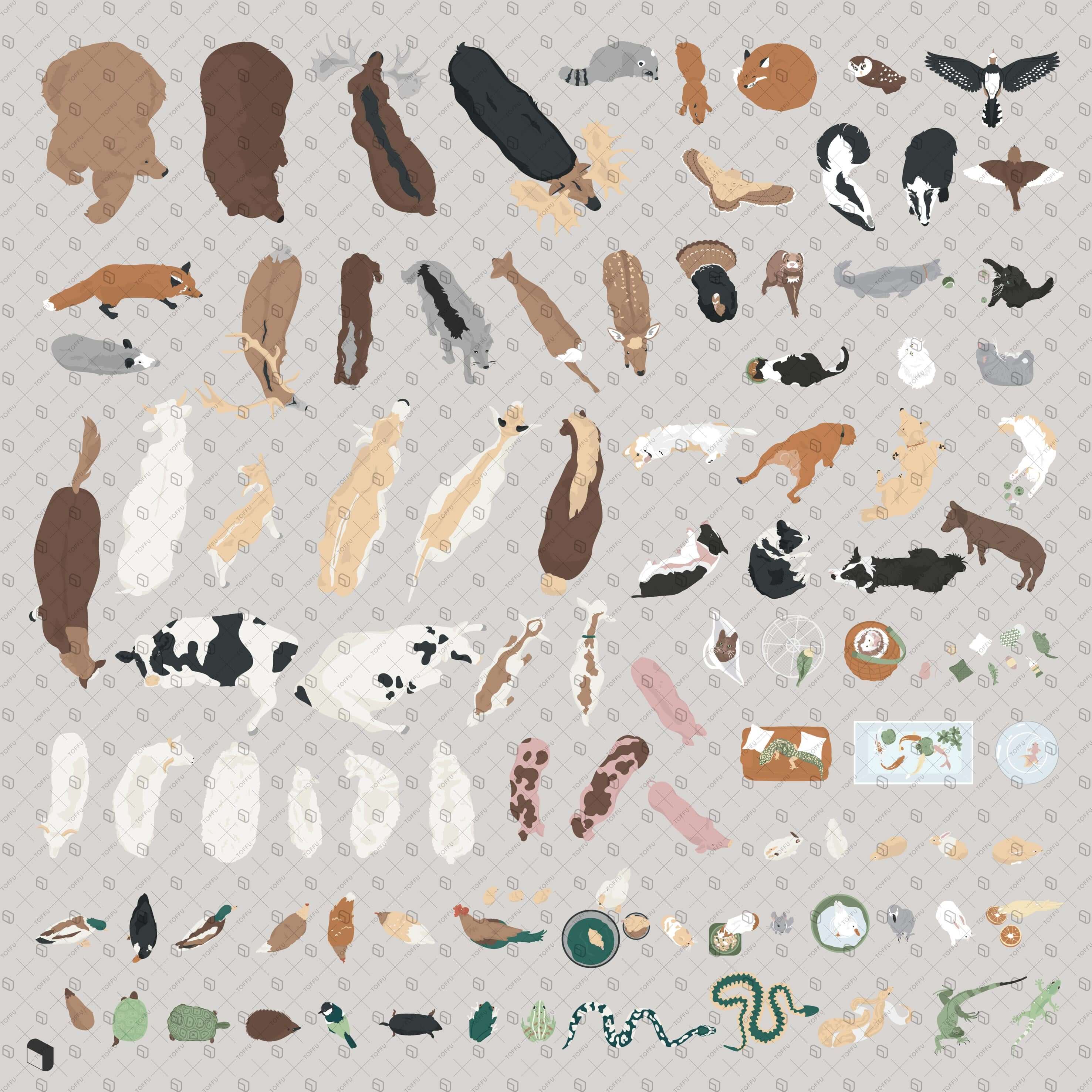 Flat Vector Animals Top View Bundle Digital Artwork drawings | Toffu Co