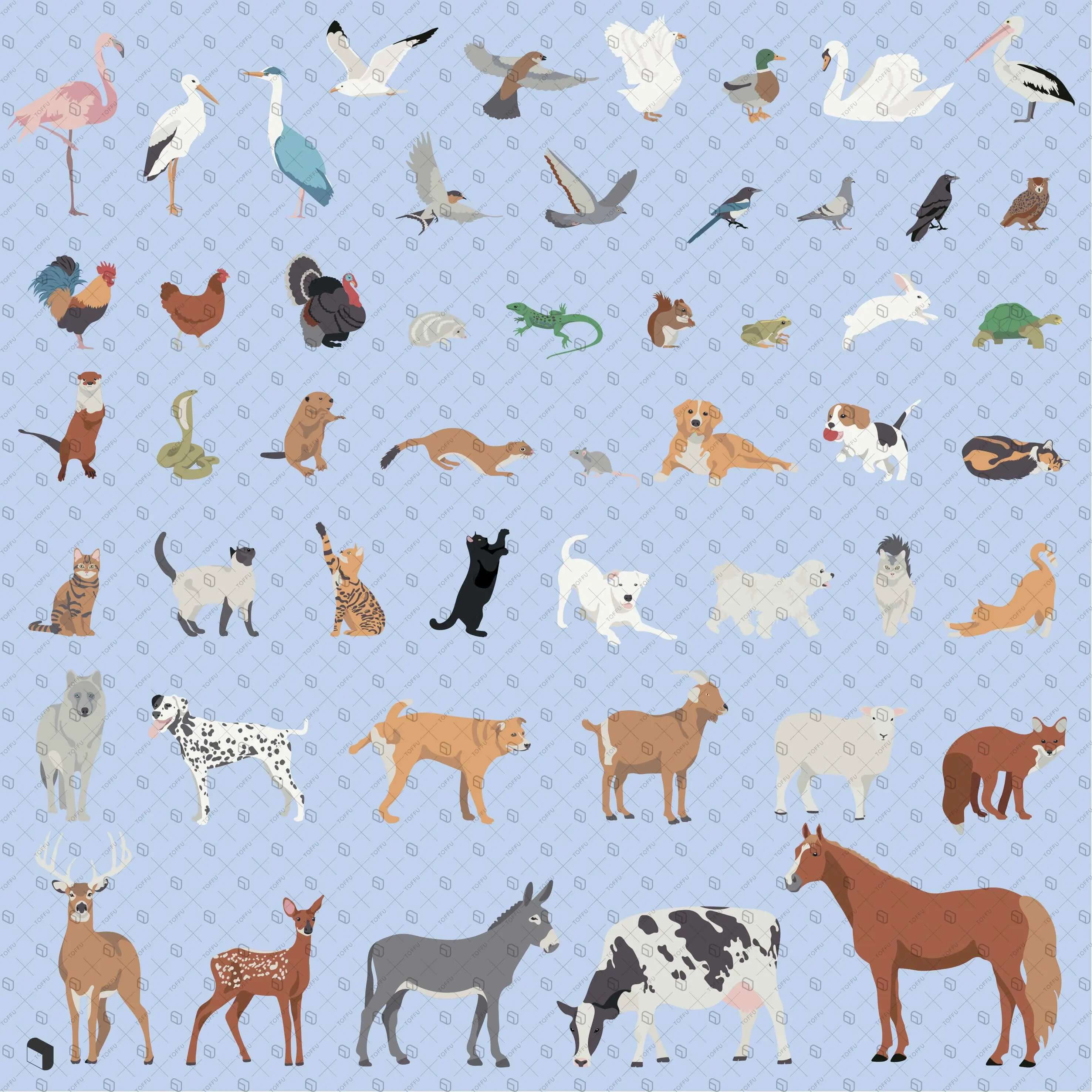 Flat Vector Common Animals Digital Artwork drawings | Toffu Co