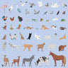 Flat Vector Common Animals Digital Artwork drawings | Toffu Co