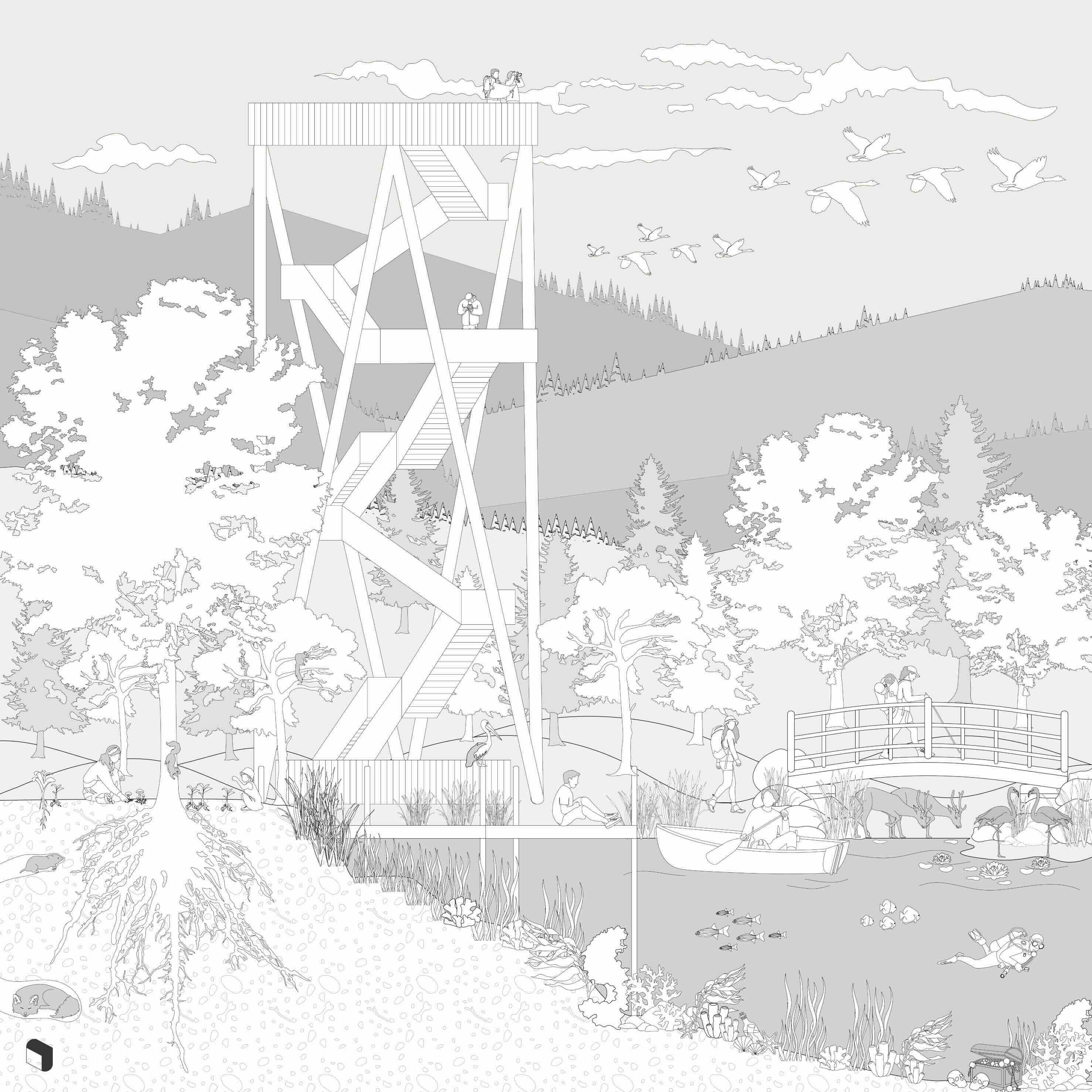 Flat Vector Nature Reserve Section Digital Artwork drawings | Toffu Co
