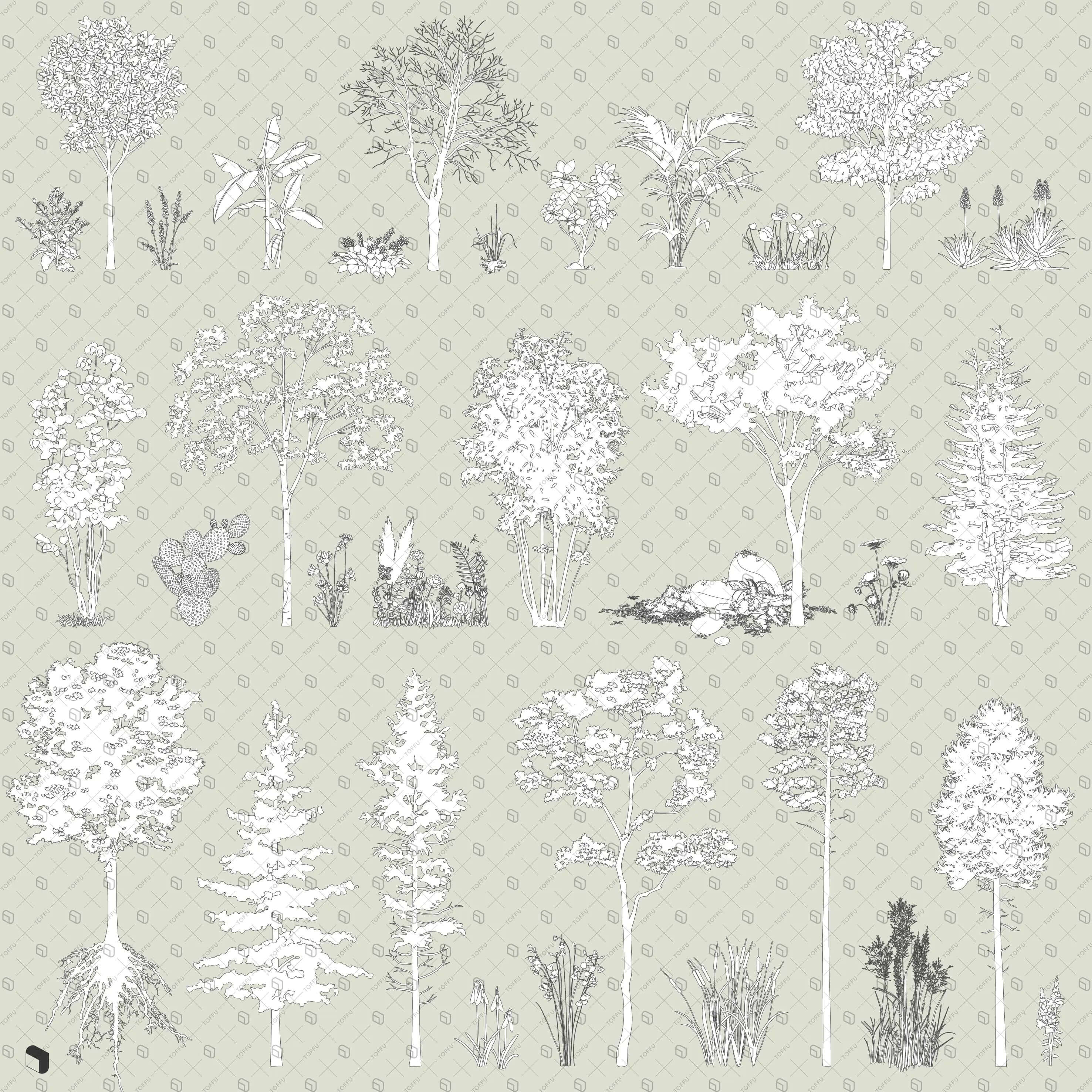 Flat Vector Vegetation Editor's Picks Bundle Digital Artwork drawings | Toffu Co