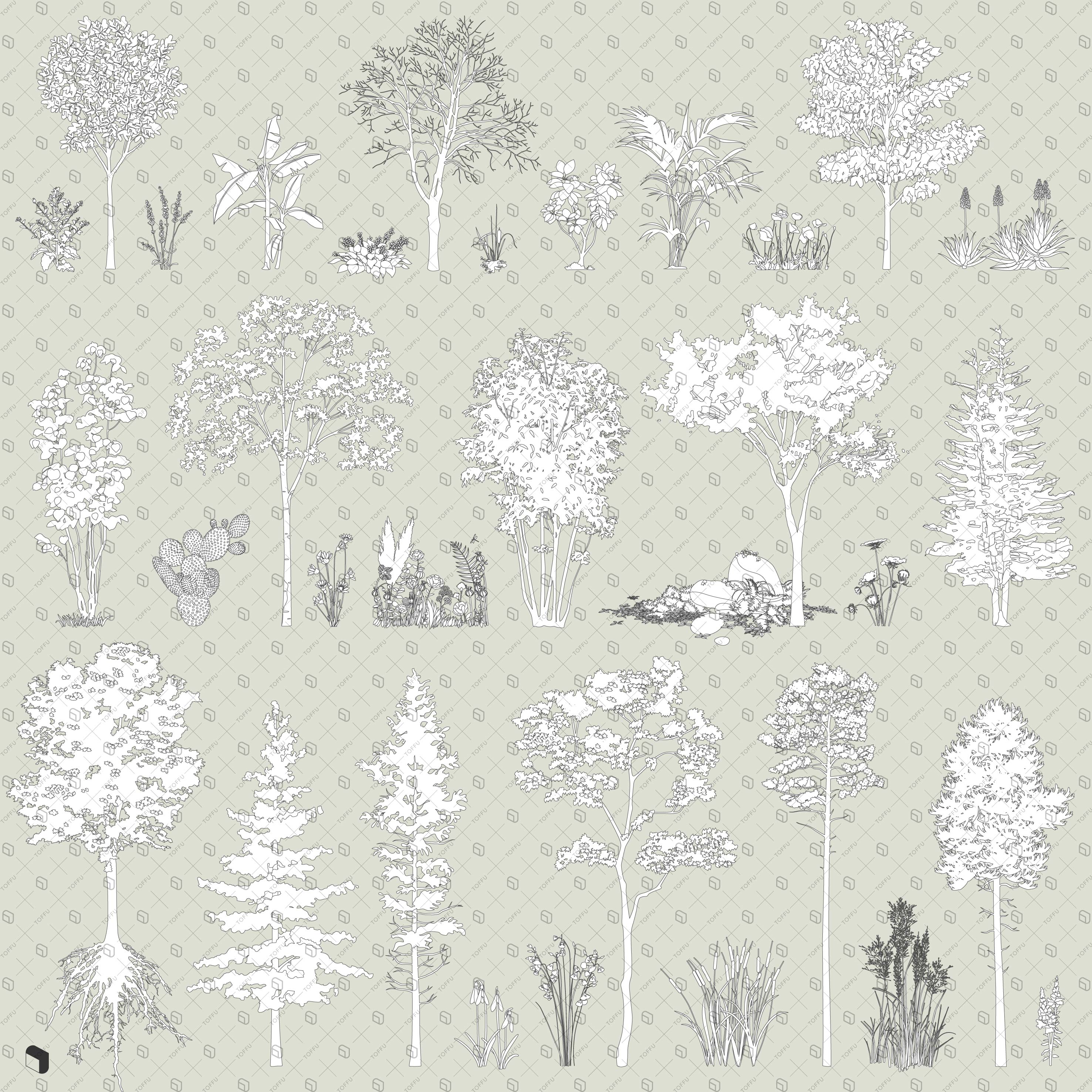 Flat Vector Vegetation Editor's Picks Bundle PNG - Toffu Co