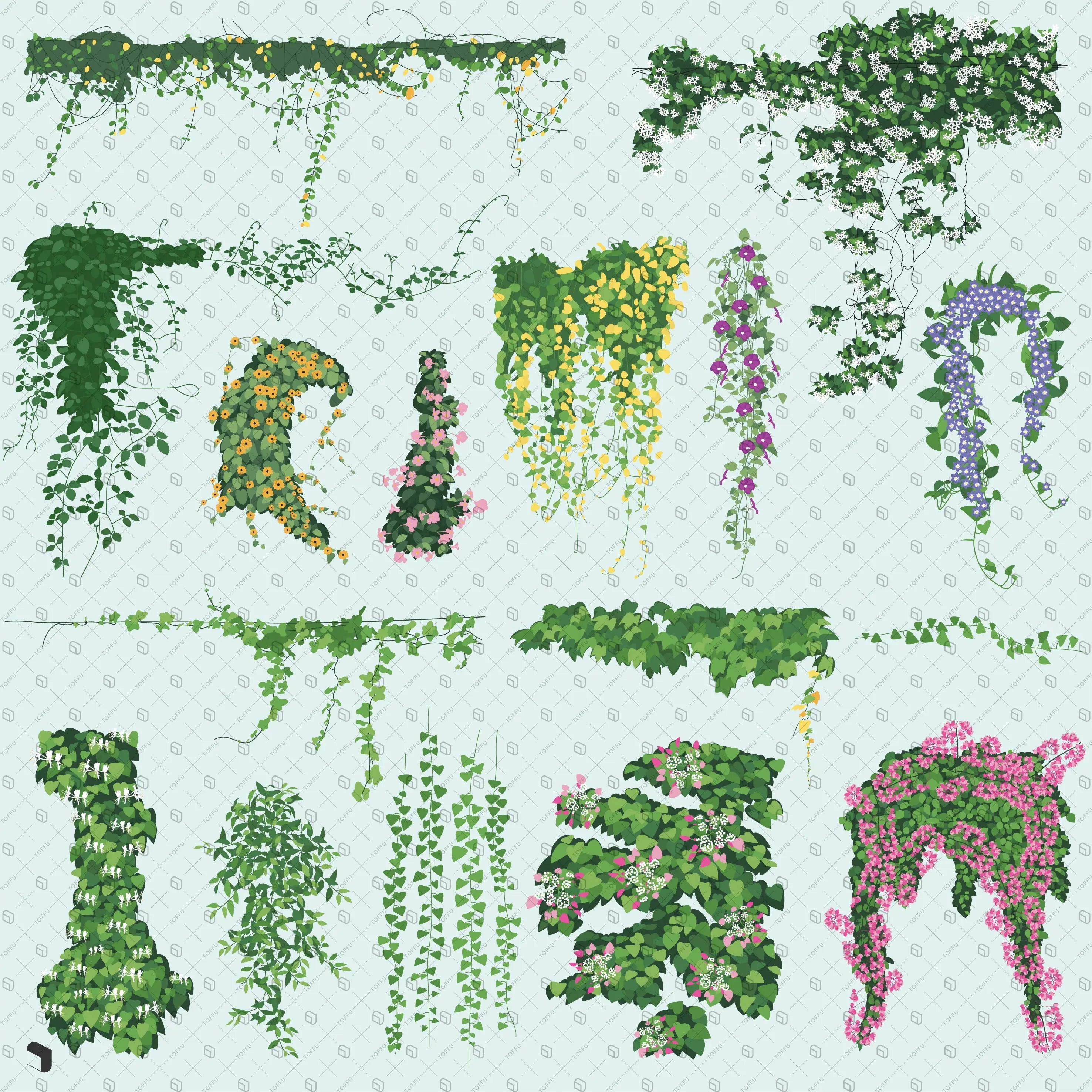 Flat Vector Ivy and Vine Digital Artwork drawings | Toffu Co