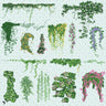 Flat Vector Ivy and Vine Digital Artwork drawings | Toffu Co