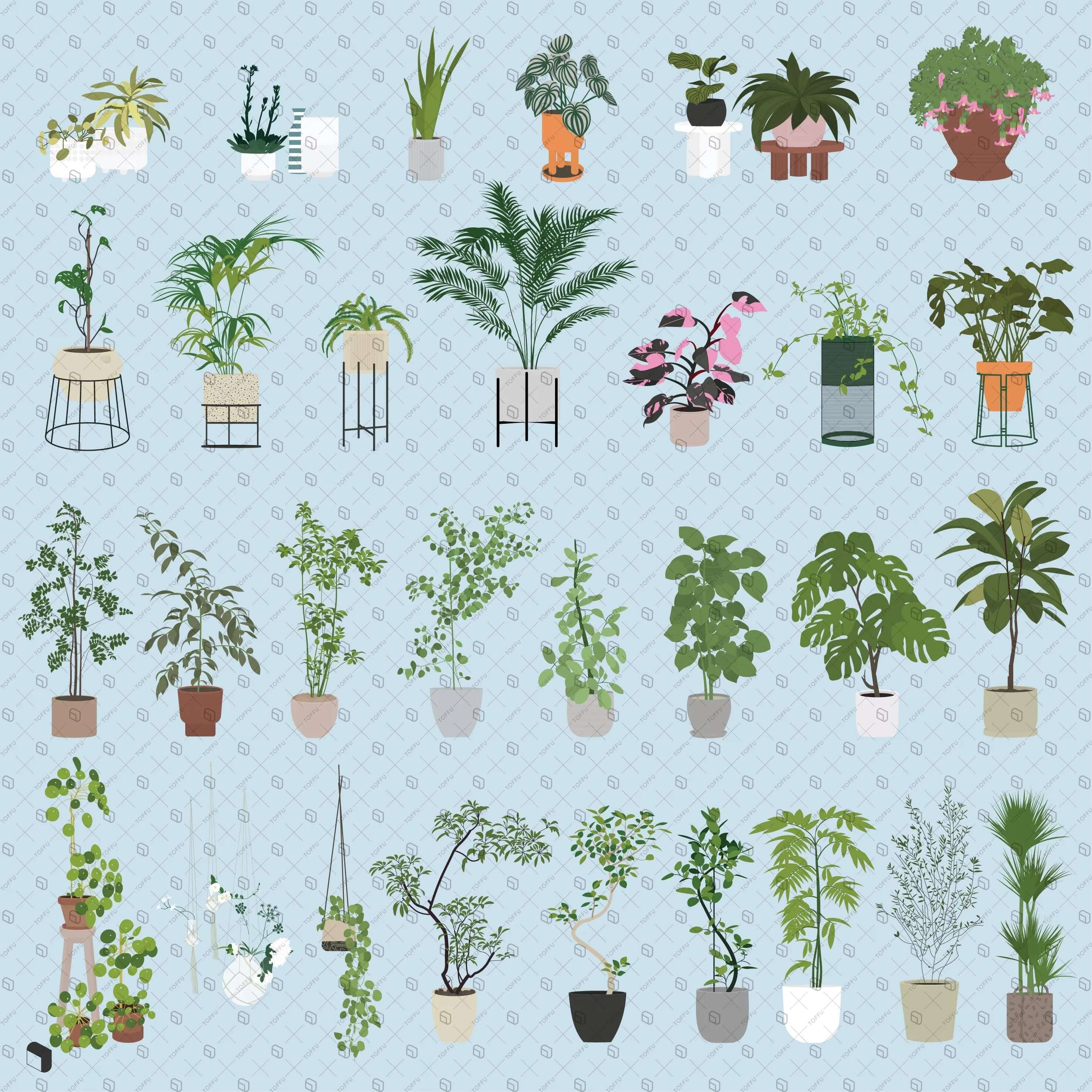 Flat Vector Potted Plants Digital Artwork drawings | Toffu Co