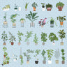 Flat Vector Potted Plants PNG - Toffu Co