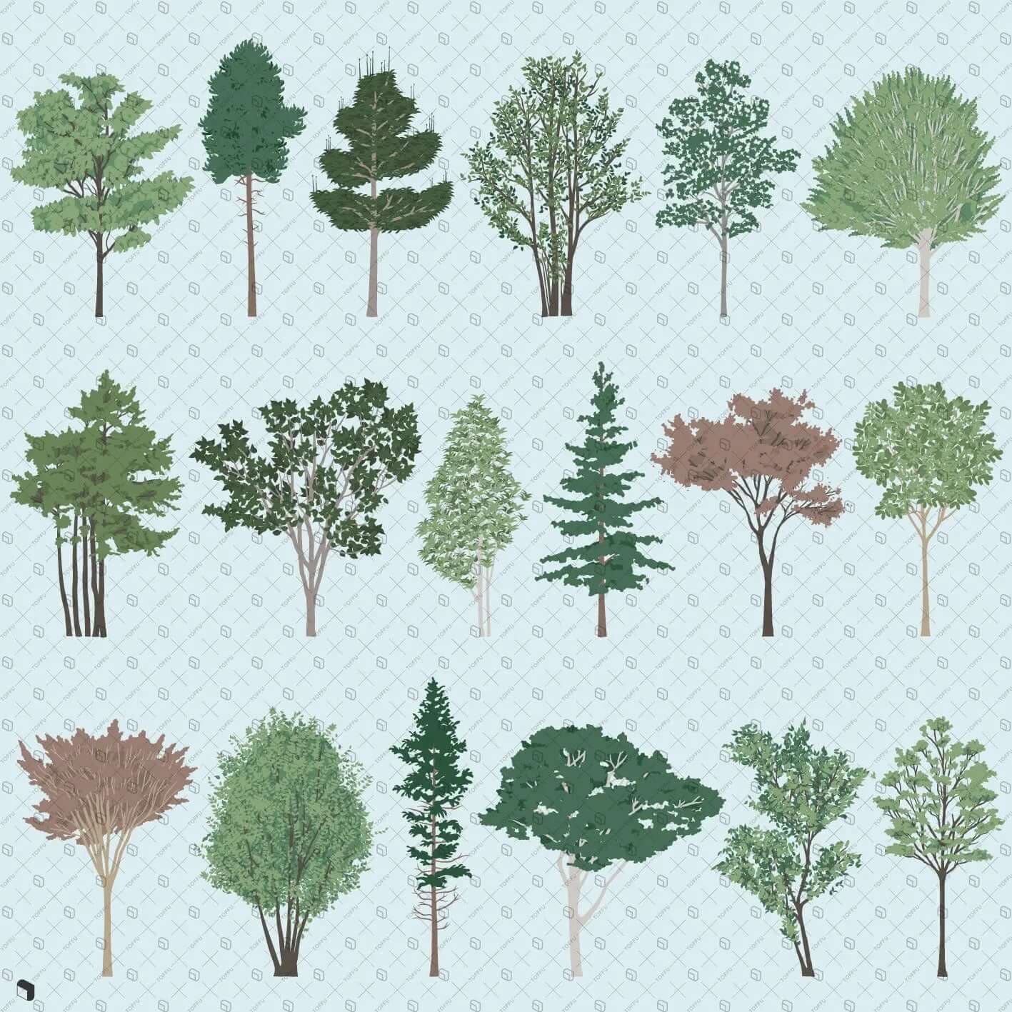 Flat Vector Detailed Trees Digital Artwork drawings | Toffu Co