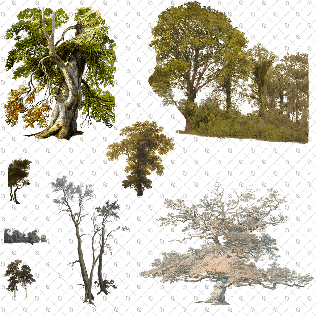Cutout Trees From Painting Digital Artwork drawings | Toffu Co