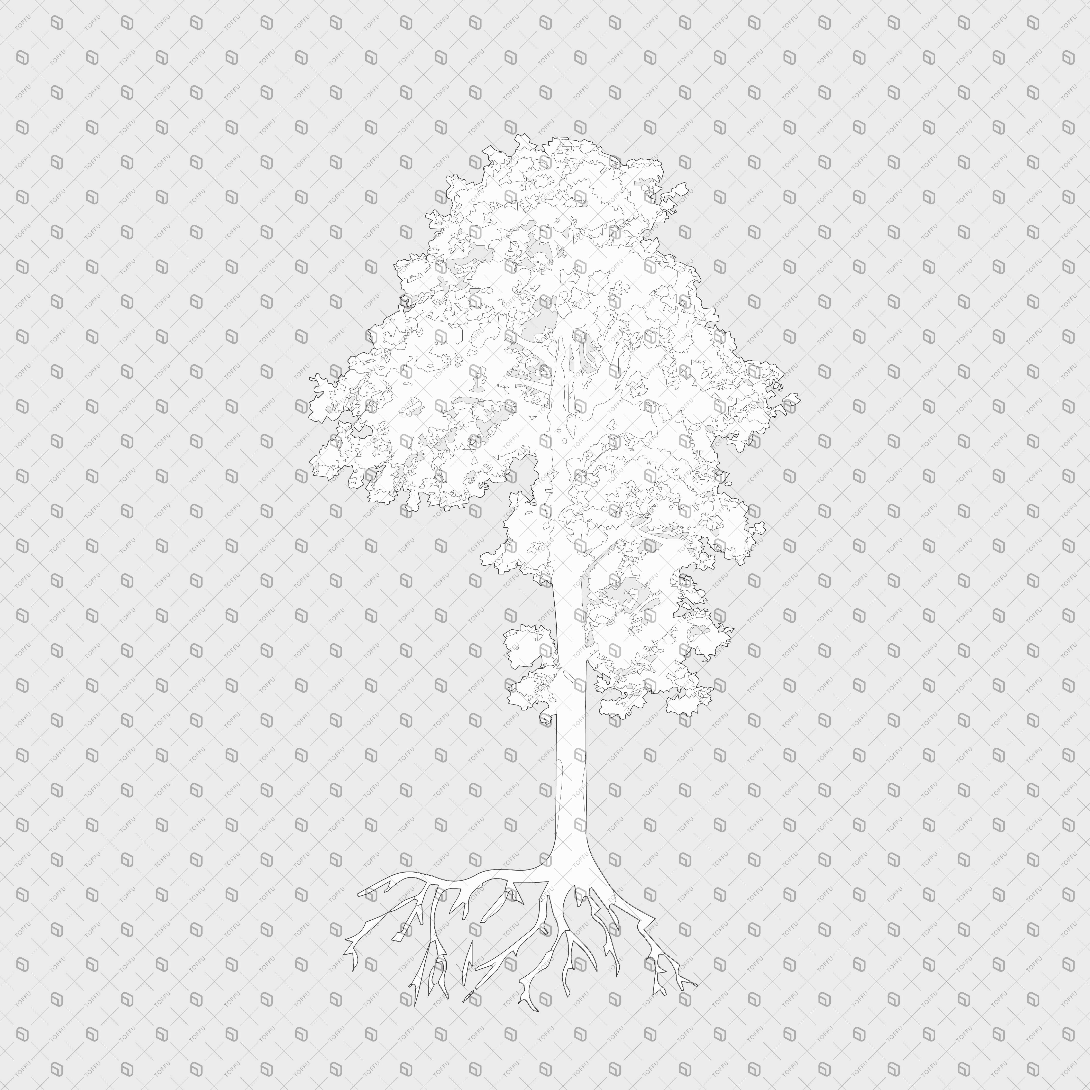 Cad Trees Elevation With Roots PNG - Toffu Co