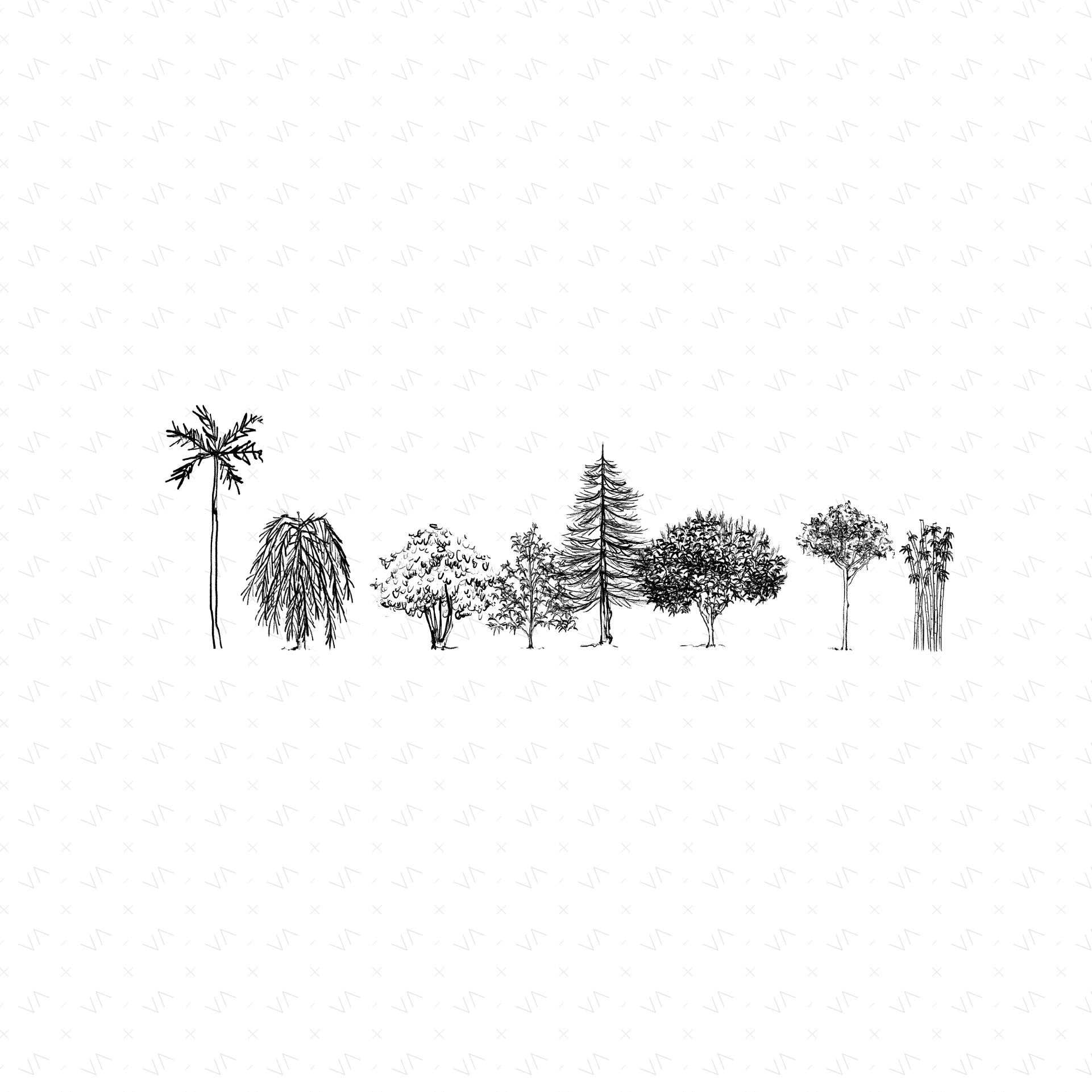 Tree Illustrations PNG - Toffu Co