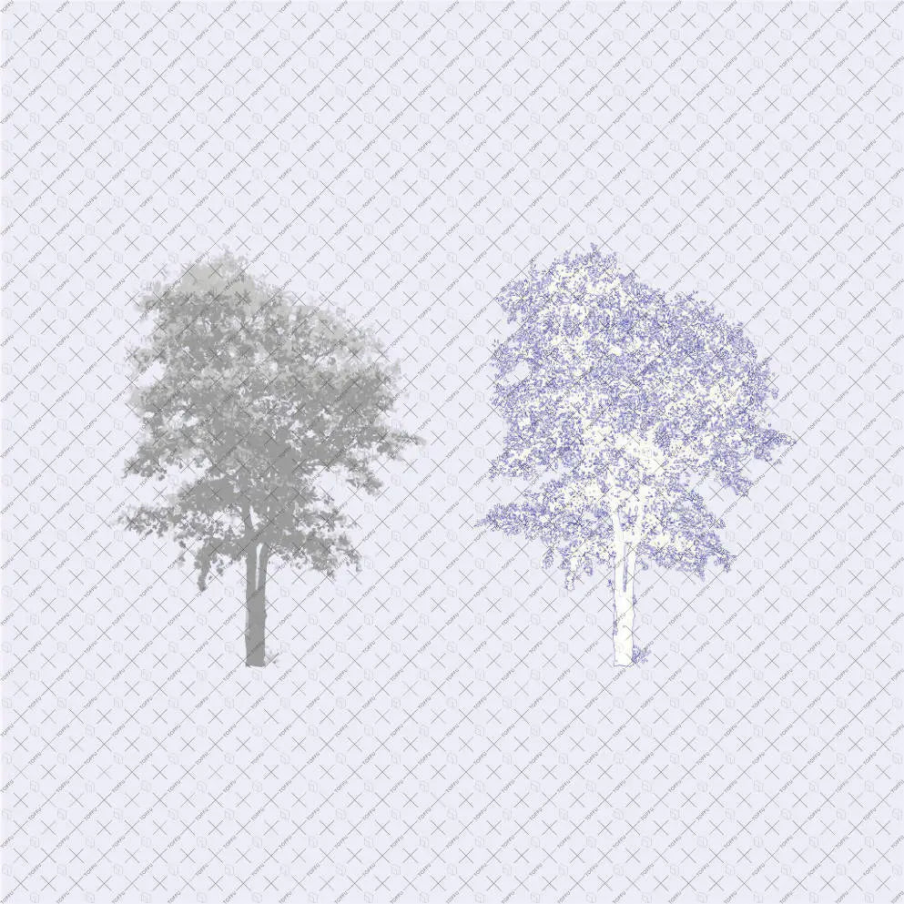 Flat Vector Shaded Trees Digital Artwork drawings | Toffu Co