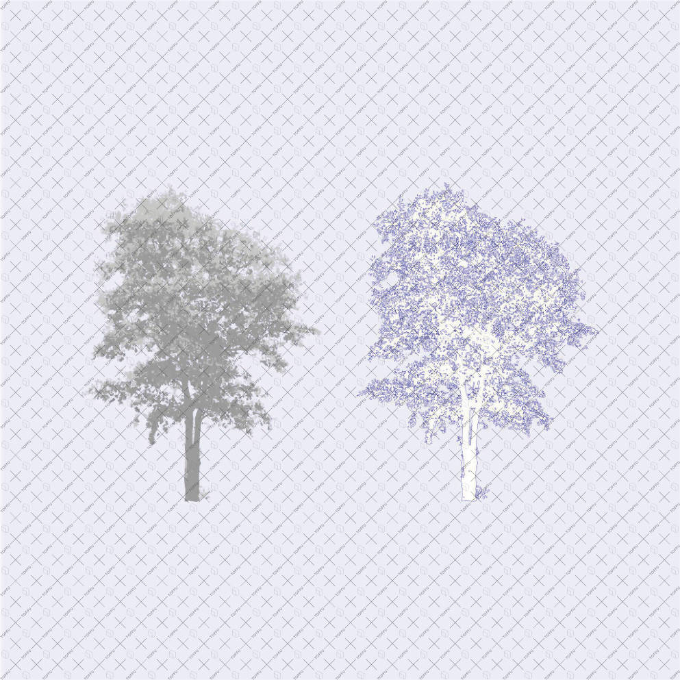 Flat Vector Trees PNG - Toffu Co