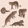 Flat Vector Wild Cats, Jungle Animals PNG - Toffu Co