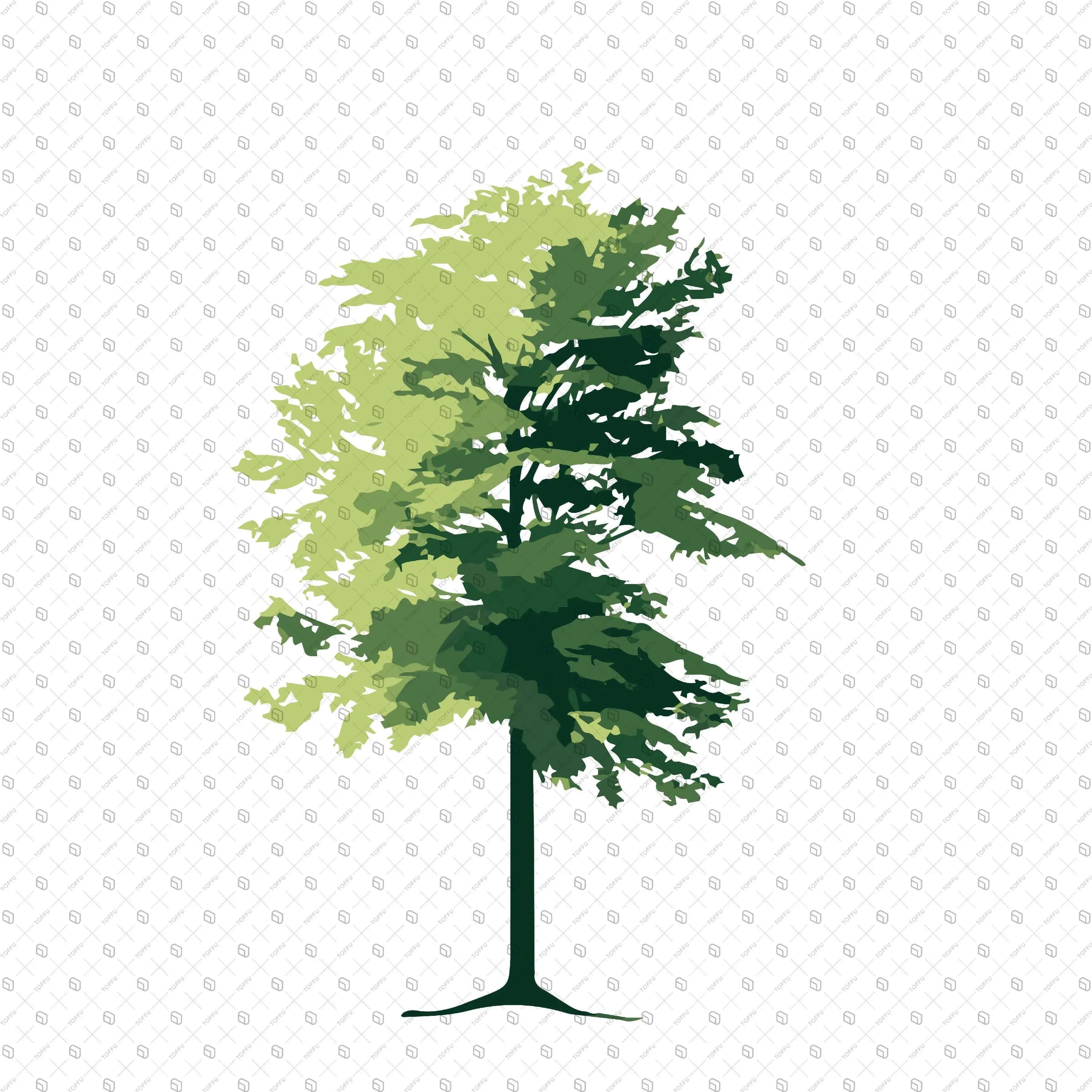 Flat Vector Set of Trees Digital Artwork drawings | Toffu Co