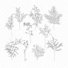 Flat Vector Stems PNG - Toffu Co