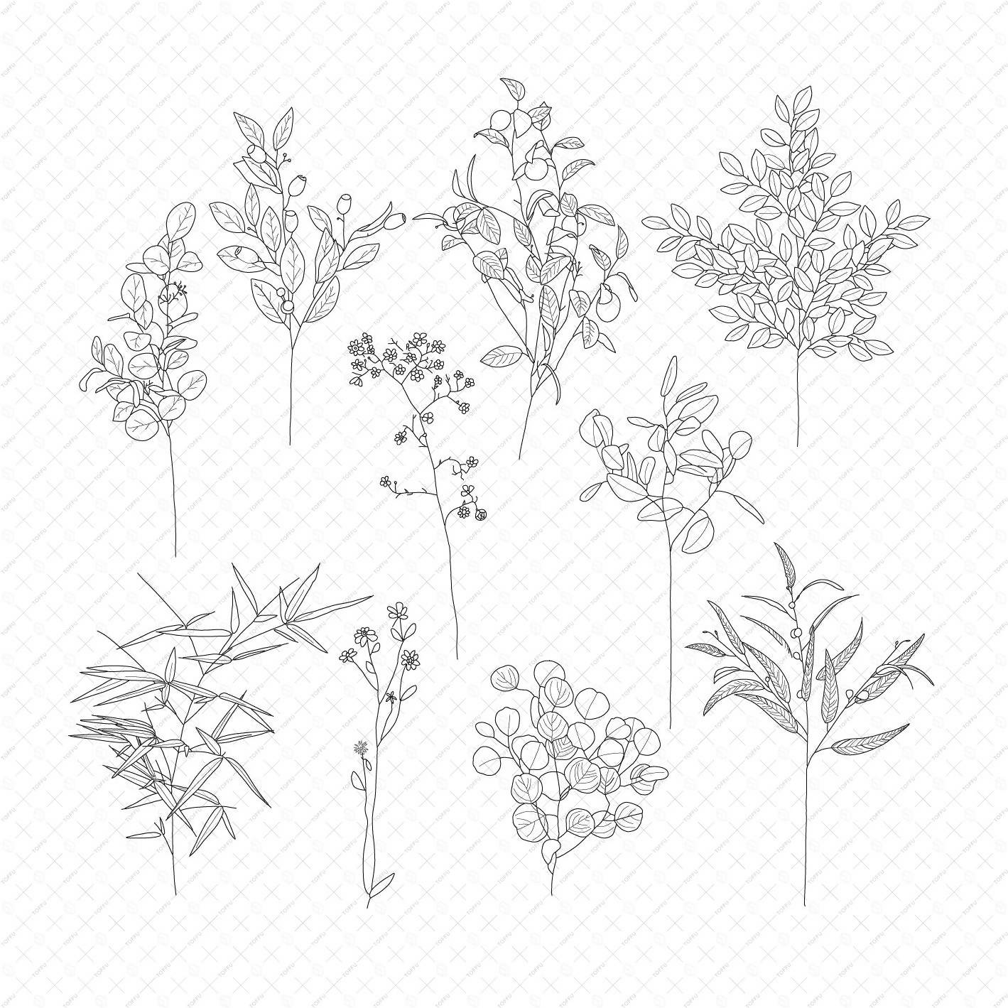 Flat Vector Stems PNG - Toffu Co