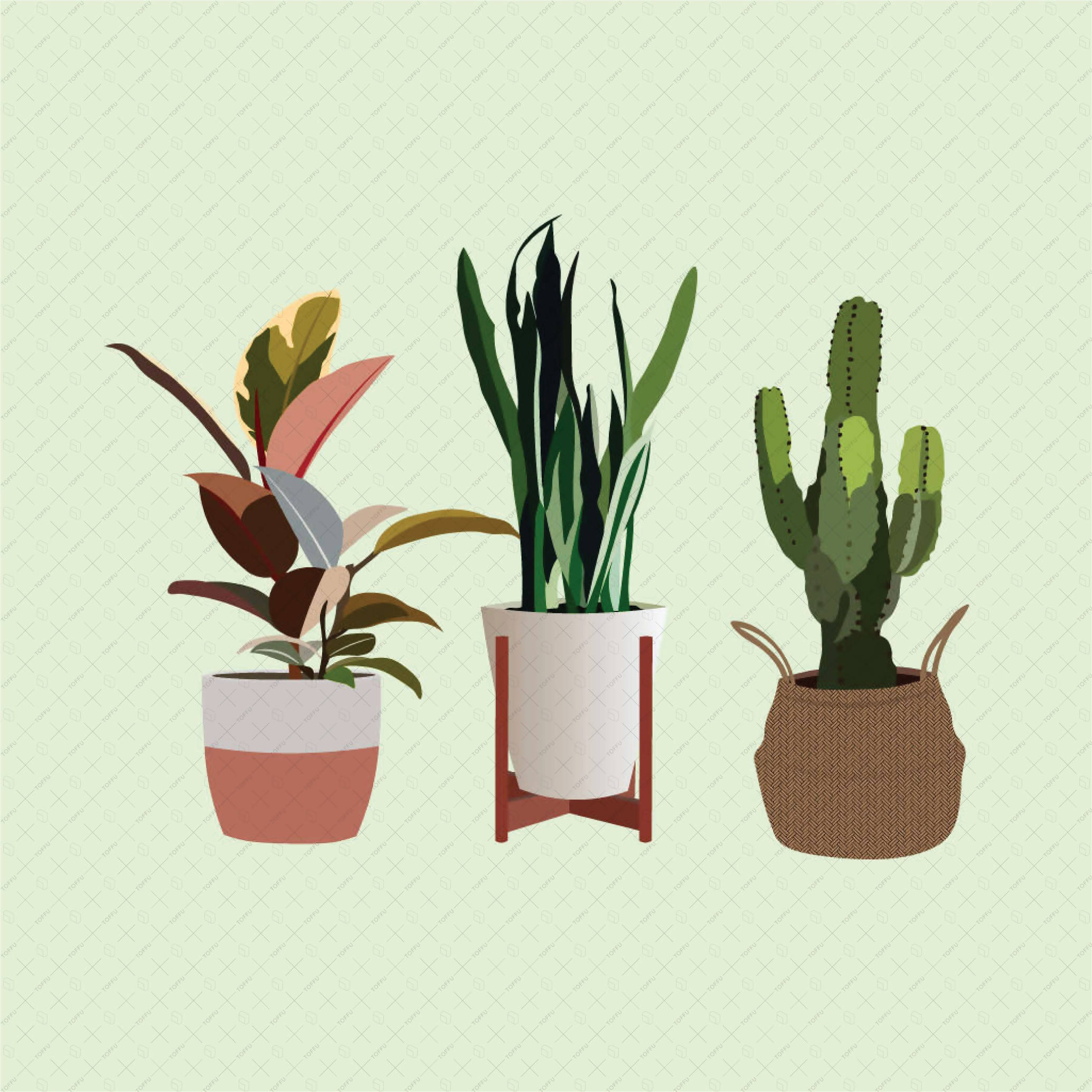 Flat Vector 22 Plants Pack PNG - Toffu Co