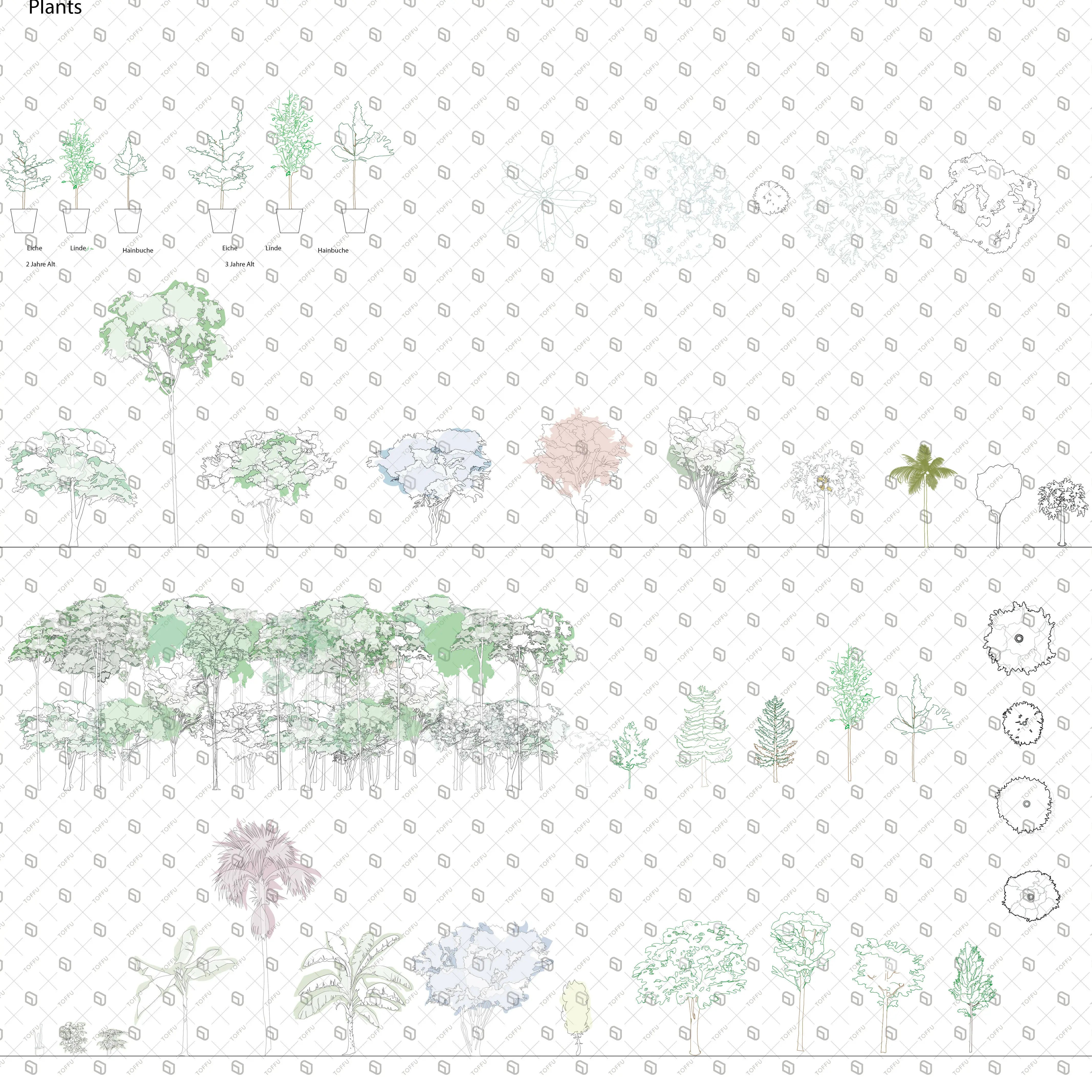 Vegetation variety Digital Artwork drawings | Toffu Co