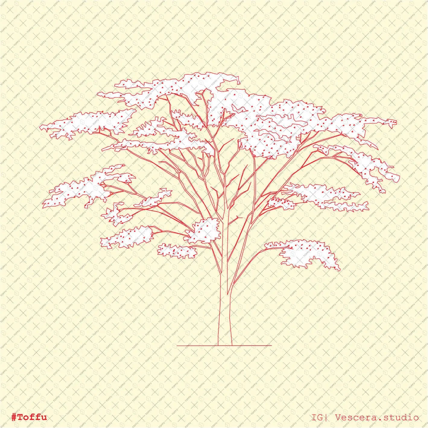 Cad African & Tropical Trees Digital Artwork drawings | Toffu Co