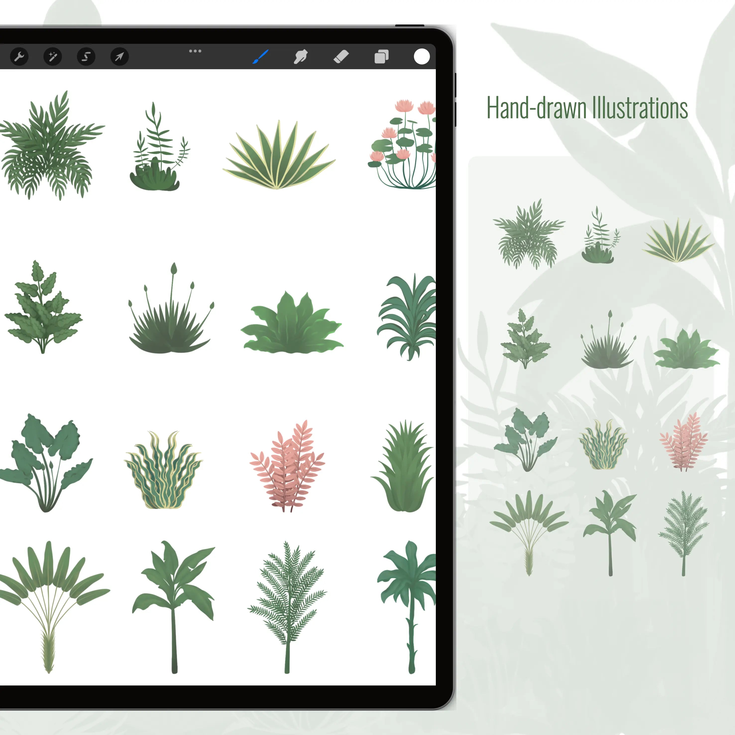 Procreate Rousseau Vegetation Brushset & Illustrations PNG - Toffu Co