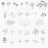 Cad African & Tropical Trees PNG - Toffu Co