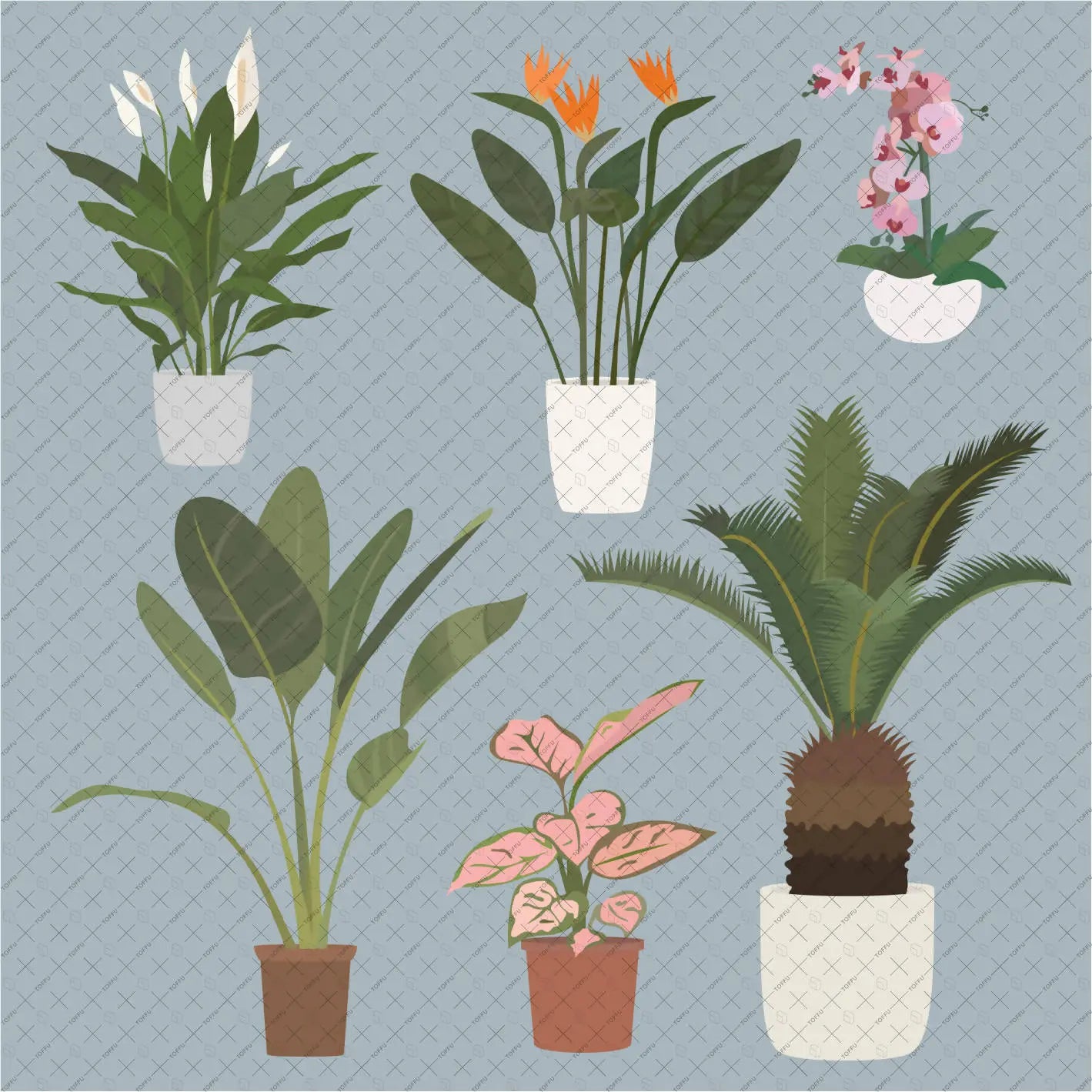Flat Vector Potted Tropical Plants Digital Artwork drawings | Toffu Co
