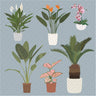 Flat Vector Potted Tropical Plants PNG - Toffu Co