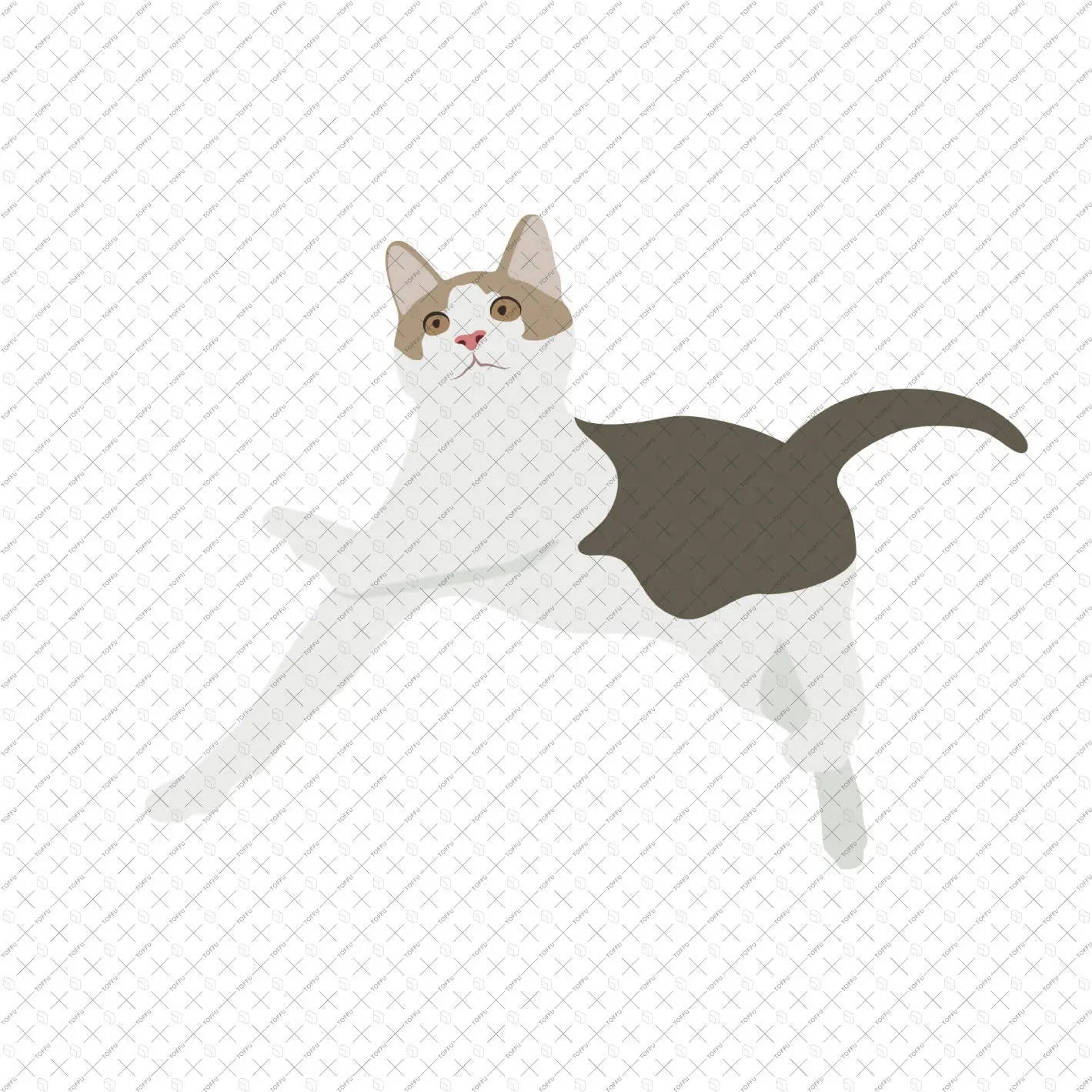 Flat Vector Cats Digital Artwork drawings | Toffu Co
