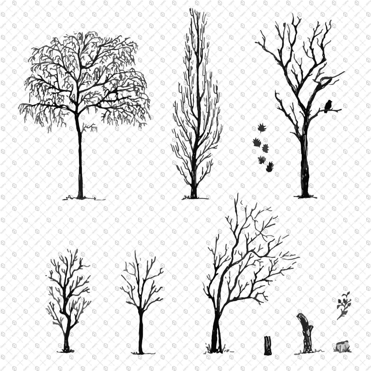 Flat Vector Freehand Dry Trees Digital Artwork drawings | Toffu Co