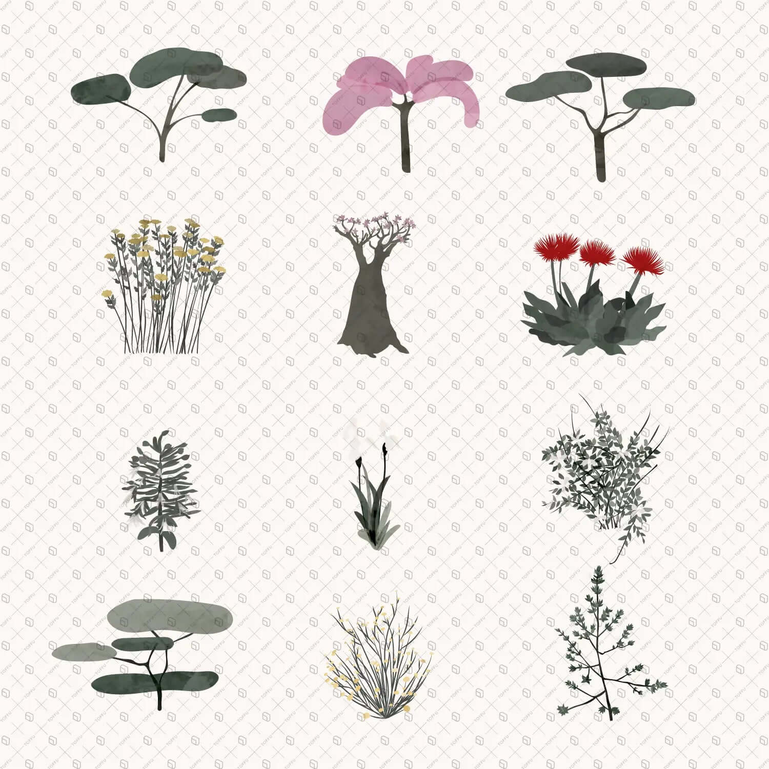 Flat Vector Arabic Vegetation Uncategorized drawings | Toffu Co