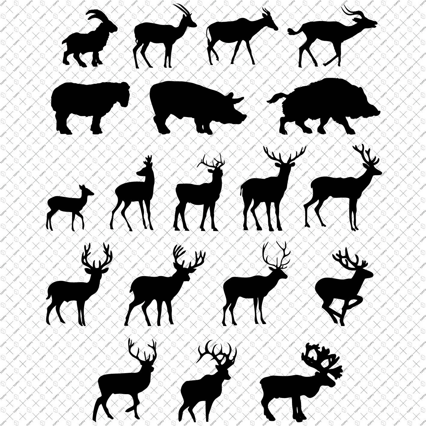 Flat Vector Animals PNG - Toffu Co