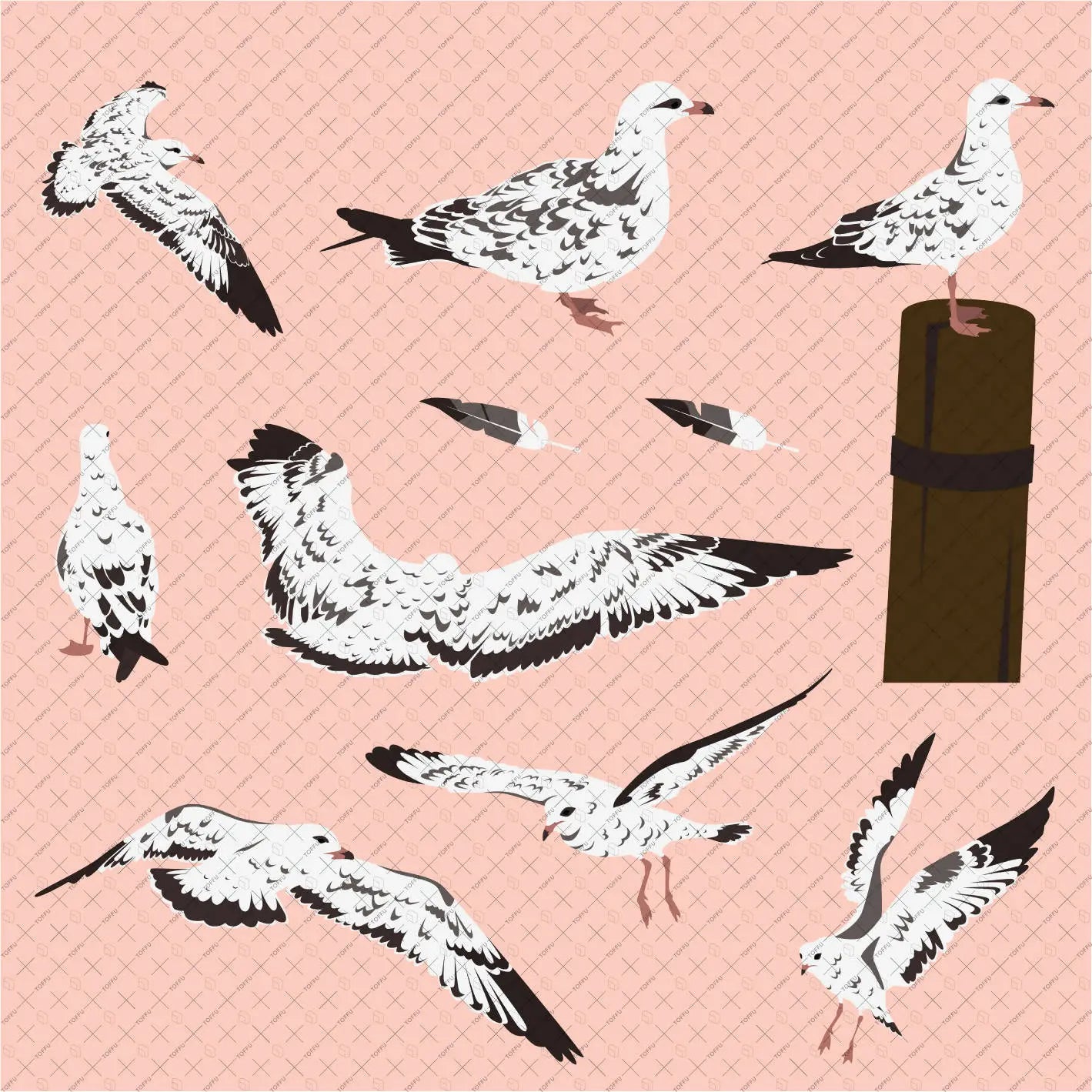 Flat Vector Marine Gulls Digital Artwork drawings | Toffu Co
