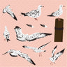 Flat Vector Marine Gulls Digital Artwork drawings | Toffu Co